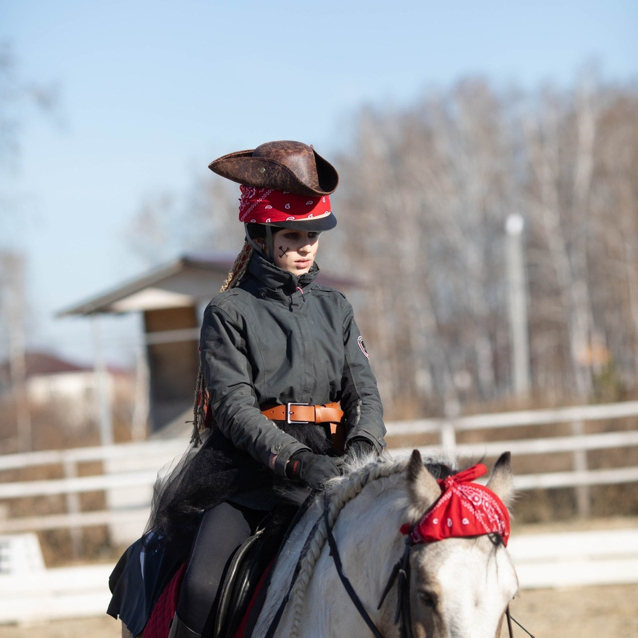 Отзывы. Конный фотограф в Челябинске Стромова Ольга