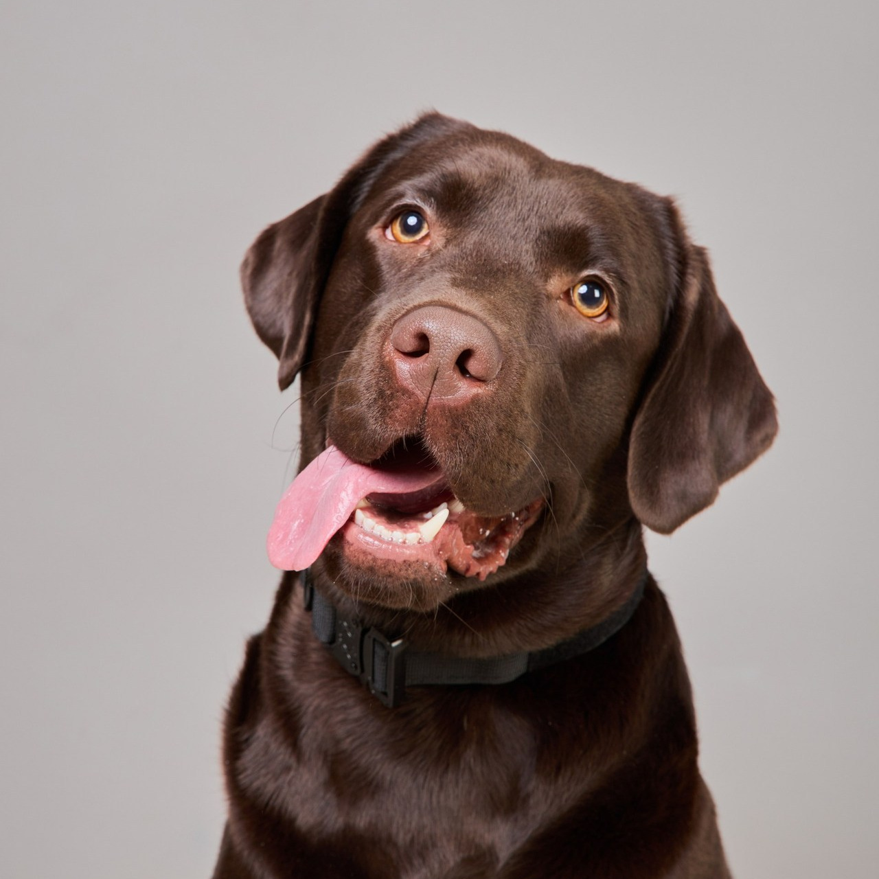 Предметная съемка отзывы. Студия предметной съемки отзывы. Предметная съемка. Предметный фотограф Орехово-Зуево