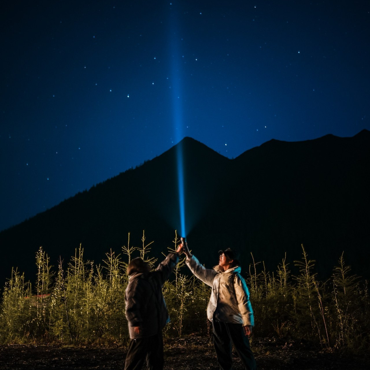 Отзывы. Главная