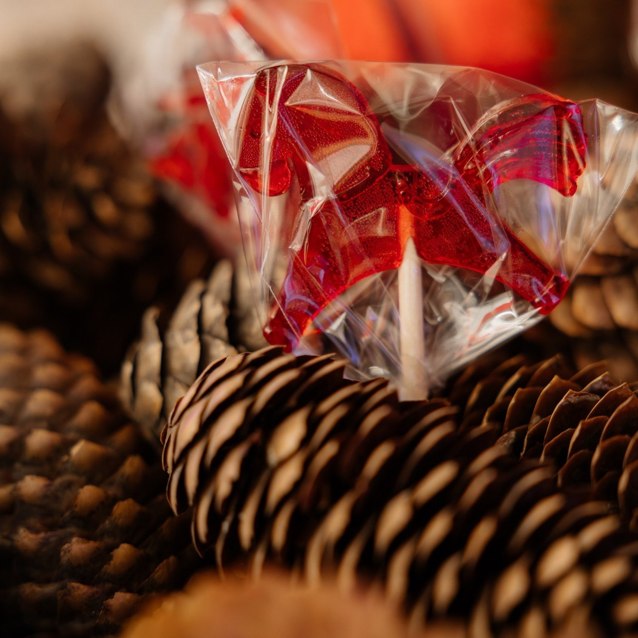 Отзывы. Фотограф в Самаре, Москве Снежана Фадеева