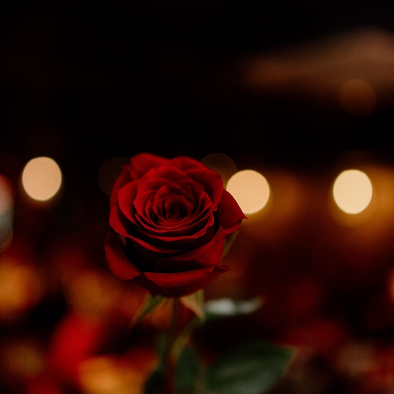 Отзывы. Фотограф Авилова Дарья ● Тюмень● Съемка больших семей ●Архив поколений