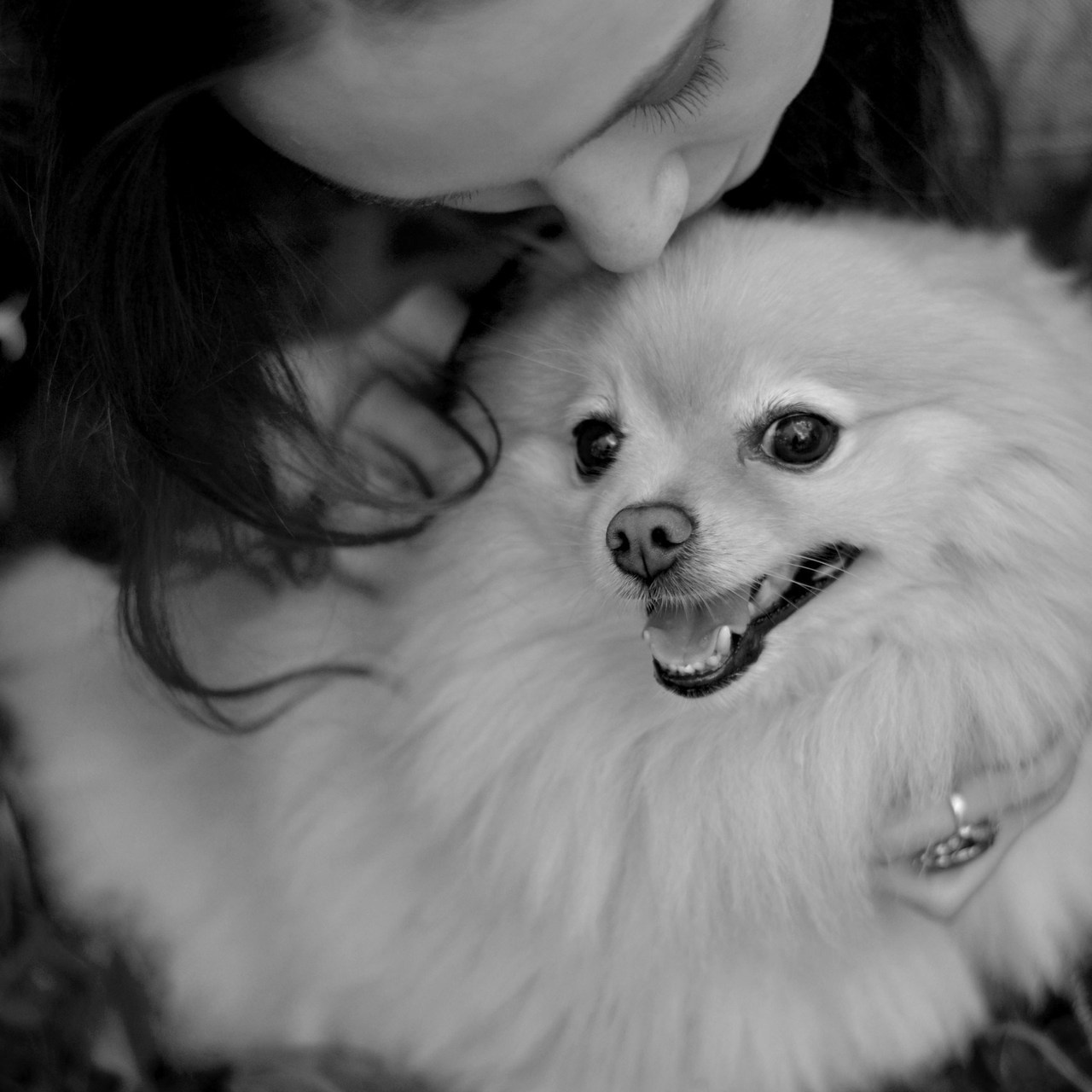 Отзывы. Фотограф Ольга Дмитриева. Новосибирск