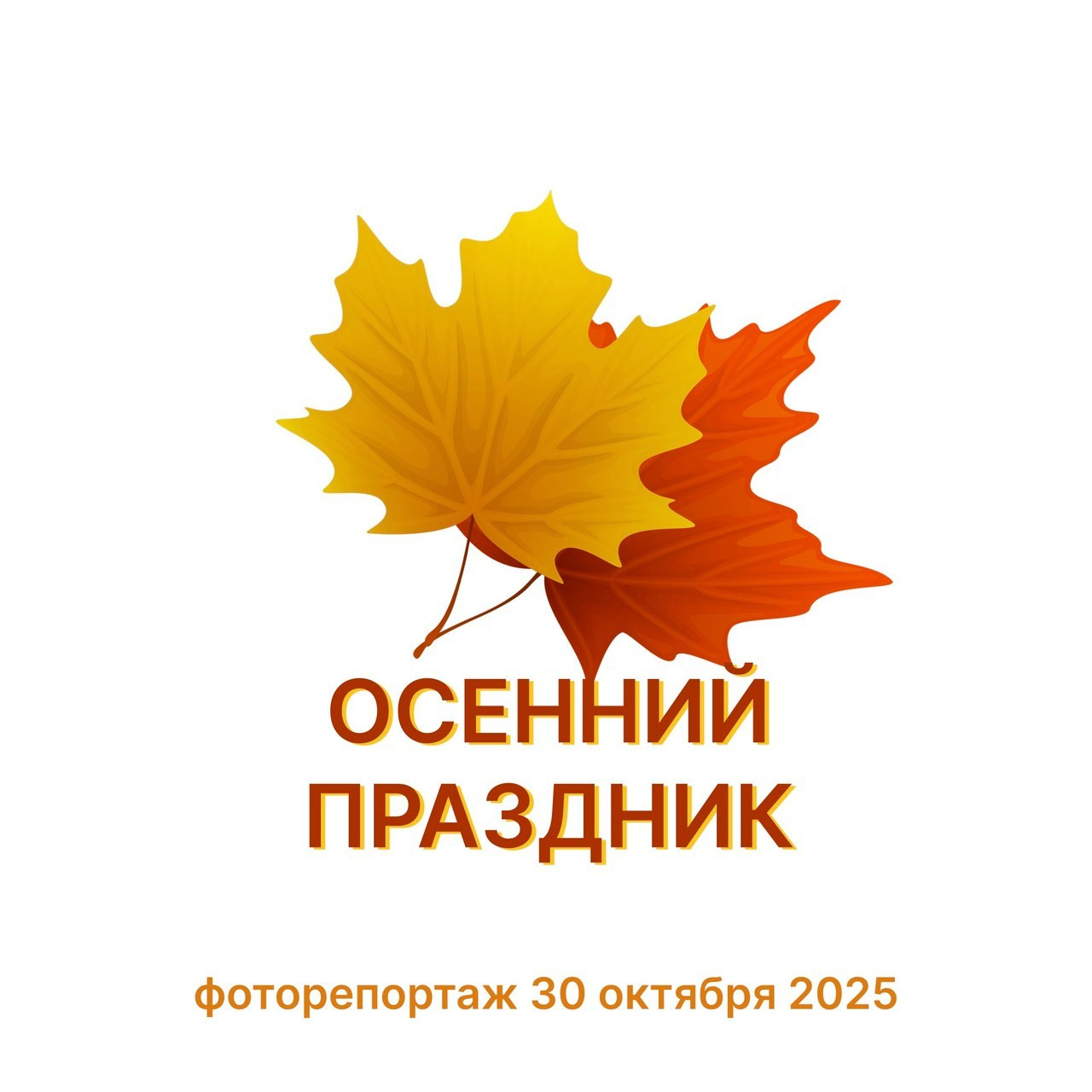 Feedback. Фотограф Елена Рустанович