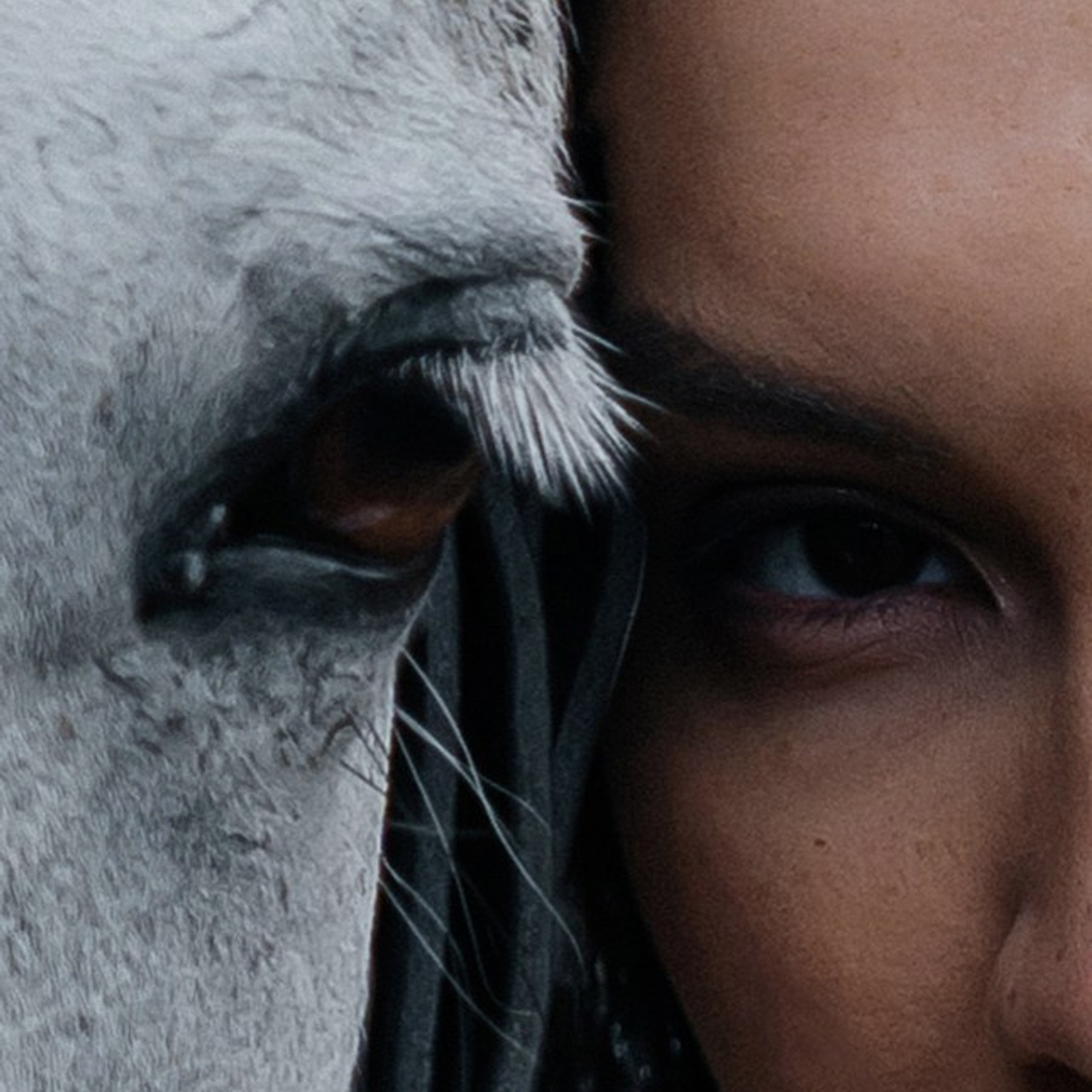 Семейный и лавстори фотограф в Санкт-Петербурге Леся Ревзина