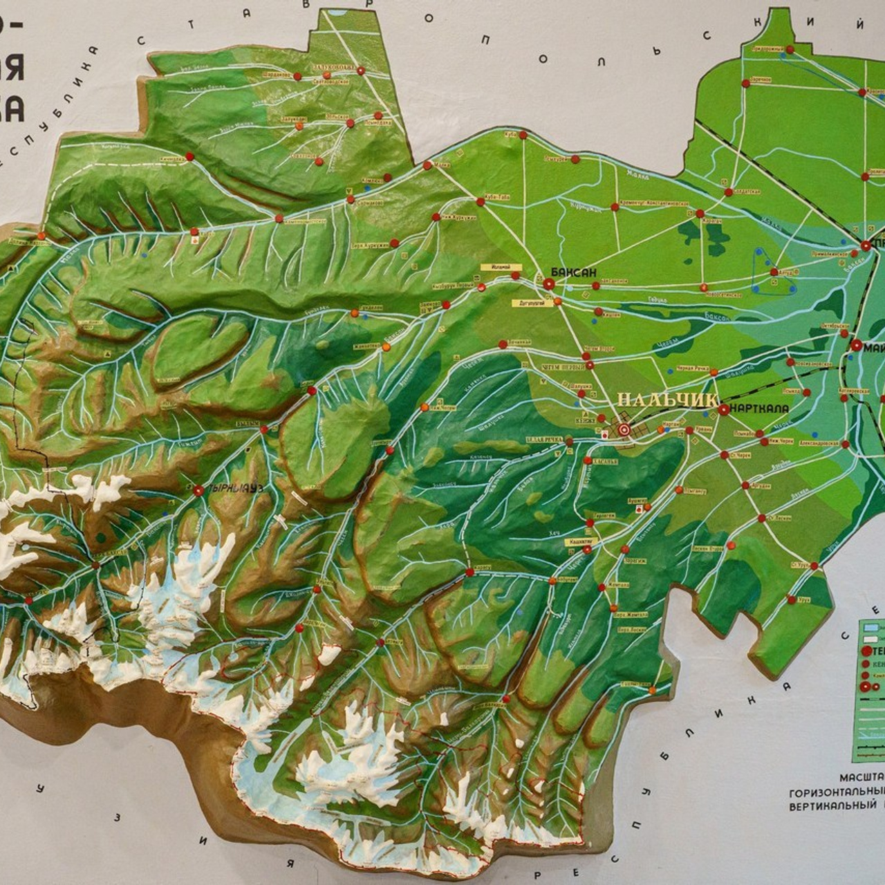 Отзывы. Выпускные альбомы в Липецке Albumboom