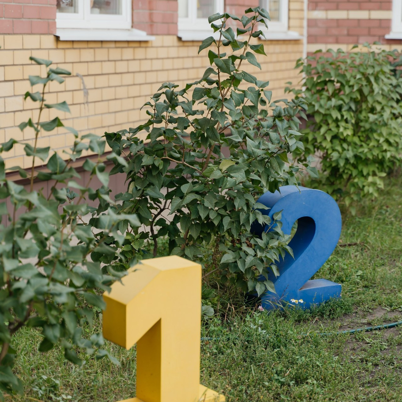 Отзывы. Выпускные альбомы в Липецке Albumboom