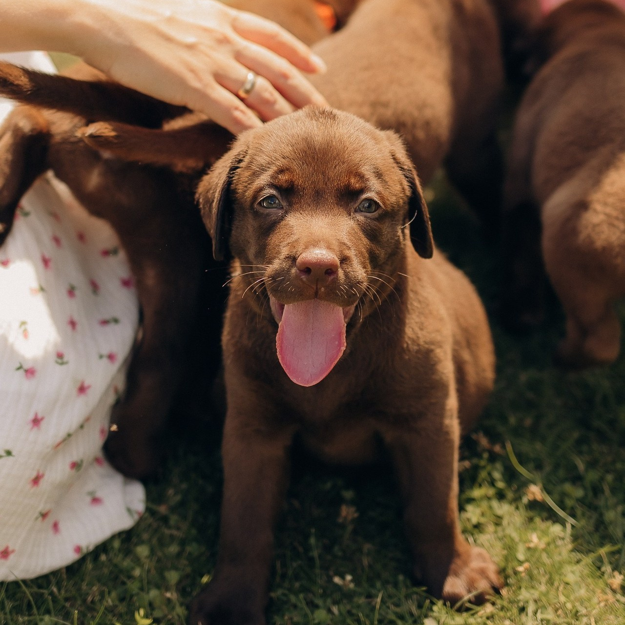 Отзывы. Фотограф на первый годик, семейный и детский фотограф в Новосибирске