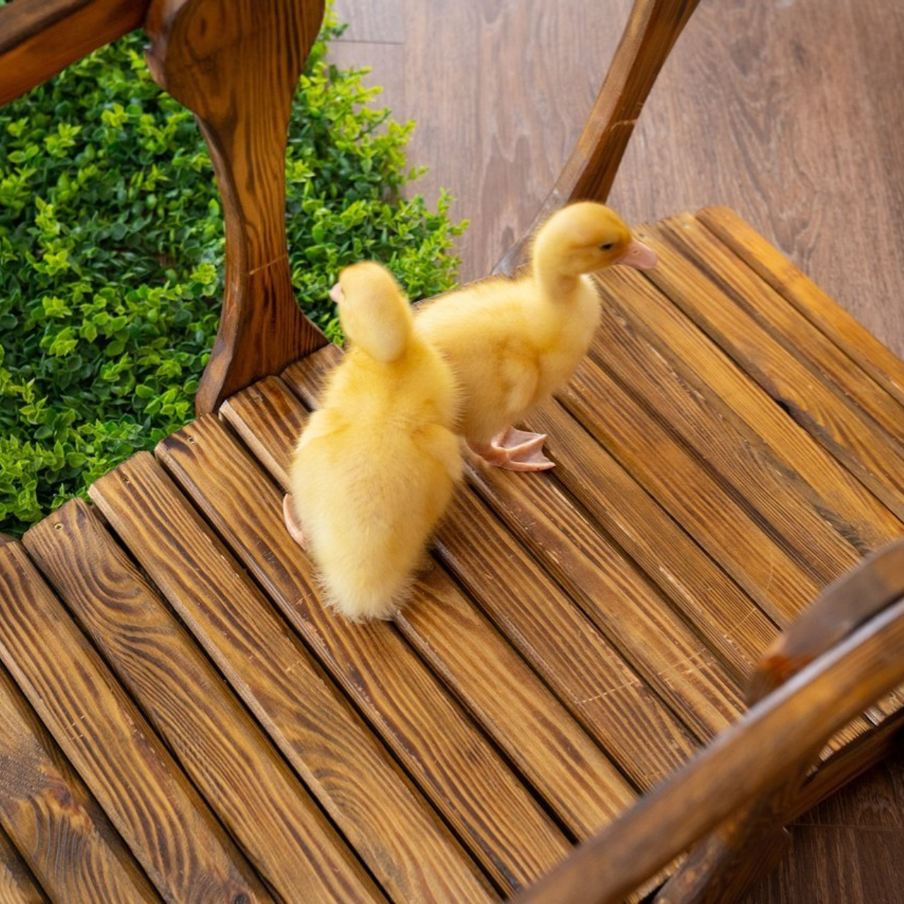 Отзывы. Фотограф в Ростове-на-Дону Анна Малахова