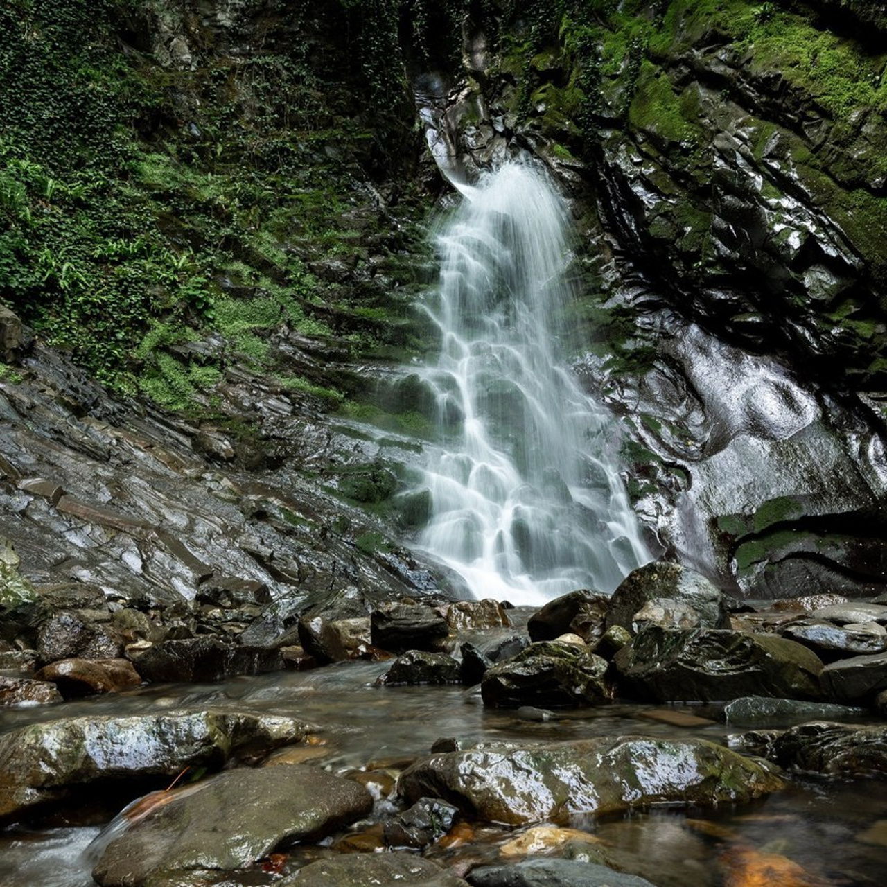 Отзывы. Фотограф Илья Бызов, Свадебный и репортажный фотограф Сочи