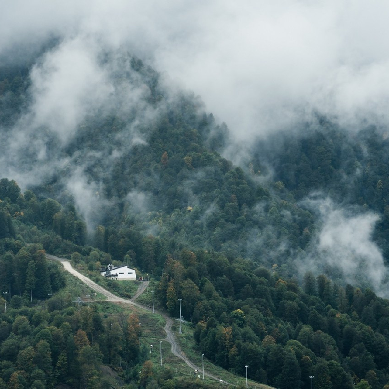 Отзывы. Фотограф Илья Бызов, Свадебный и репортажный фотограф Сочи