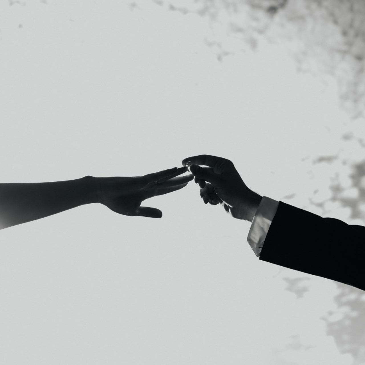 Отзывы. Фотограф Илья Бызов, Свадебный и репортажный фотограф Сочи