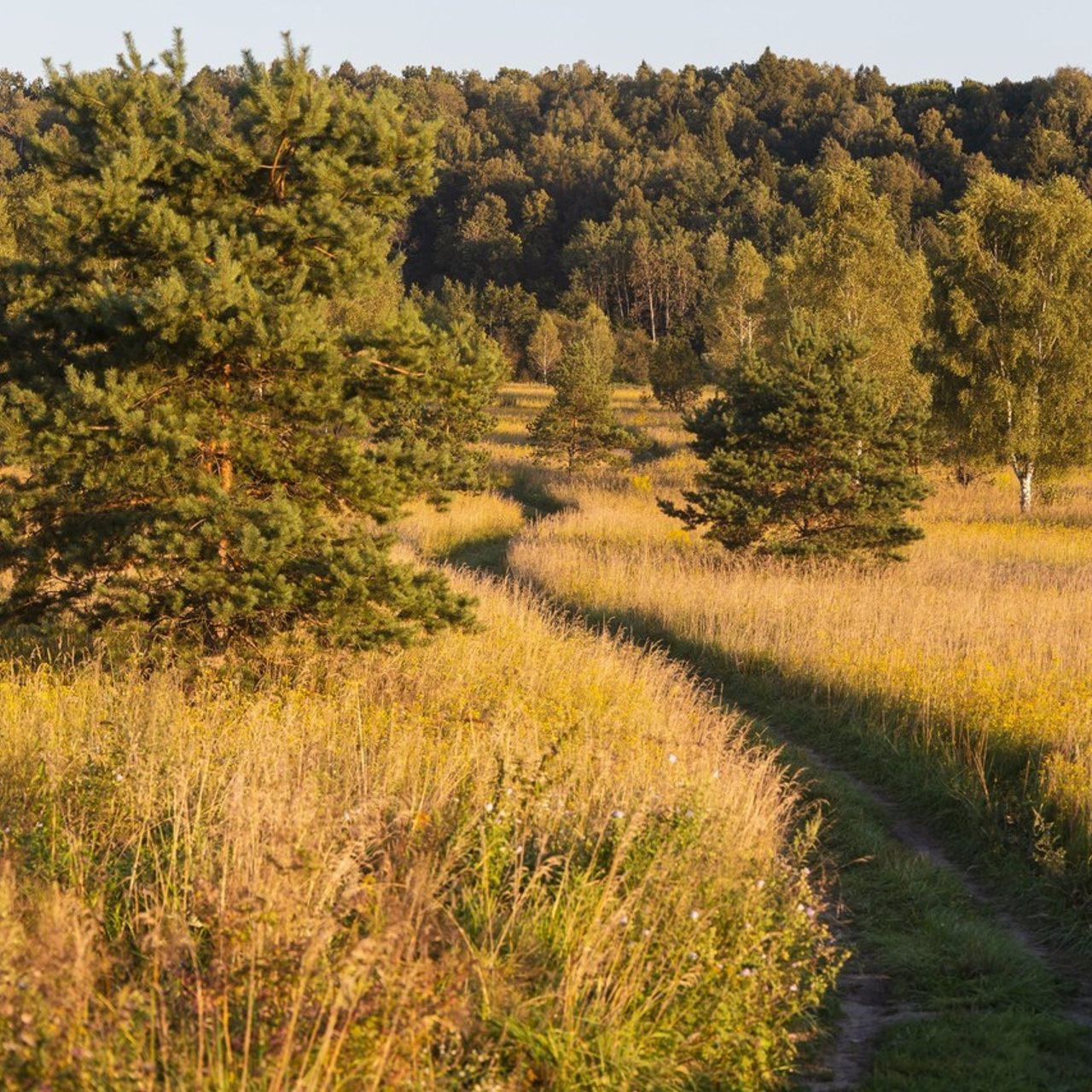 Отзывы. Фотограф Кирилл Макаров