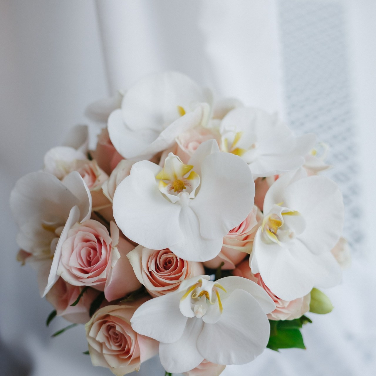 Отзывы. Семейный фотограф Николаева Ольга