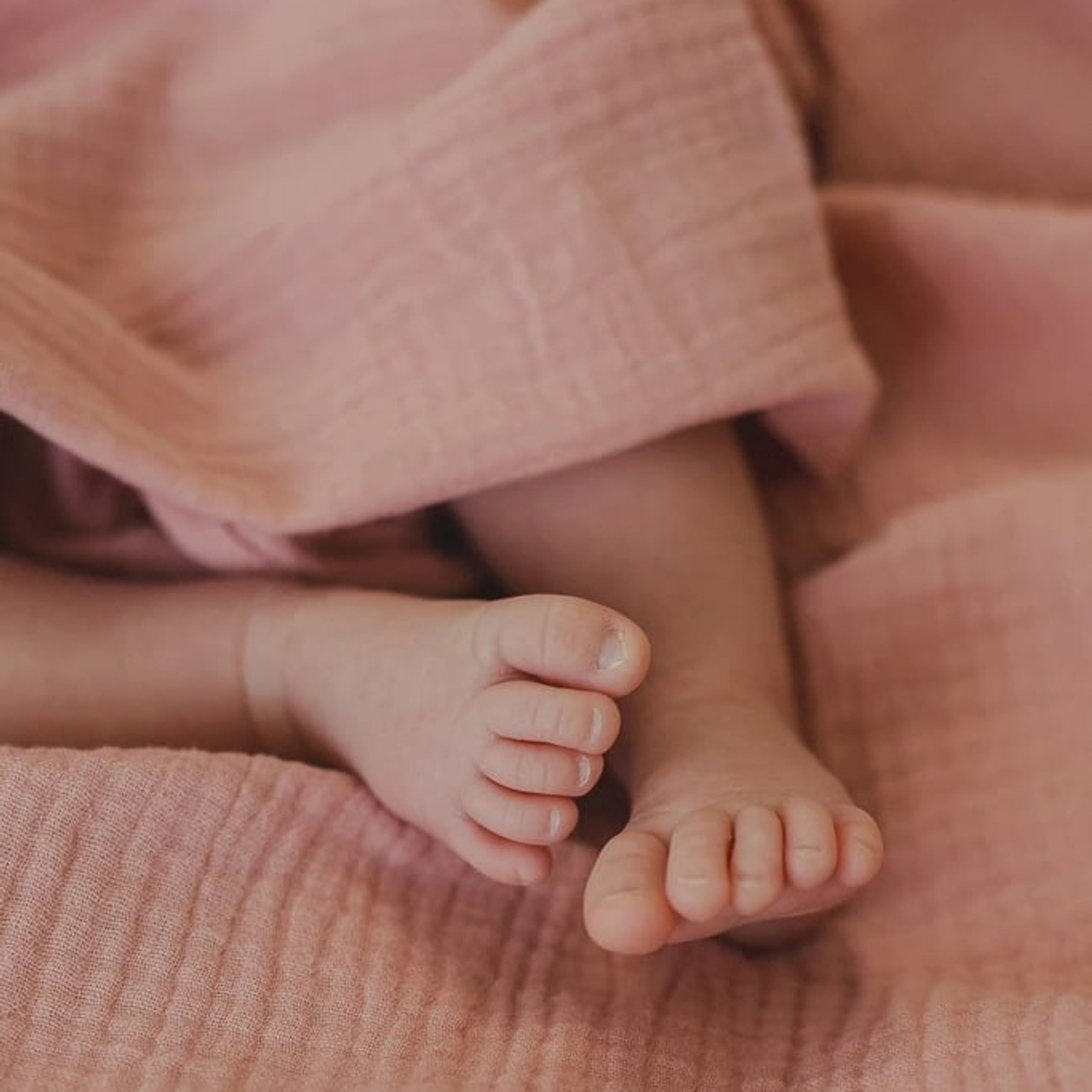 Ньборн для Алексии