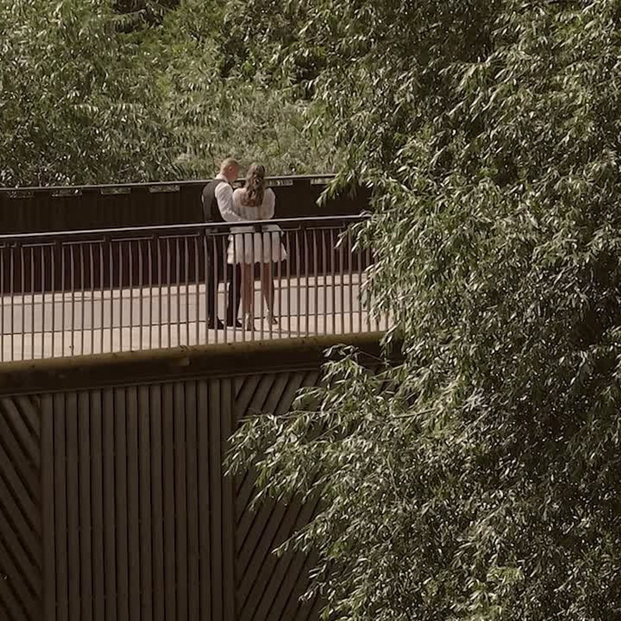 Свадебные клипы. Кадры Искусства