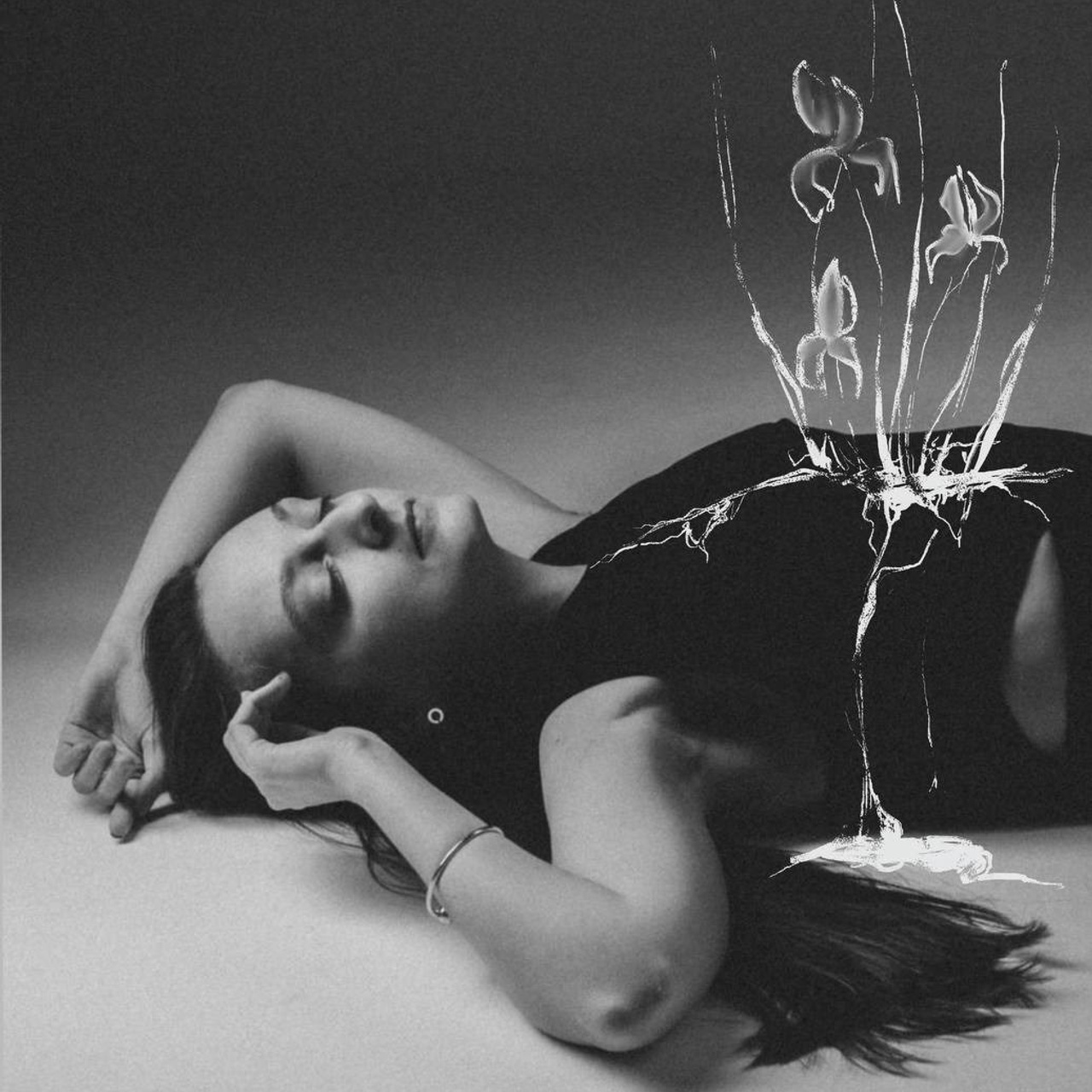 Valley of Irises. Main