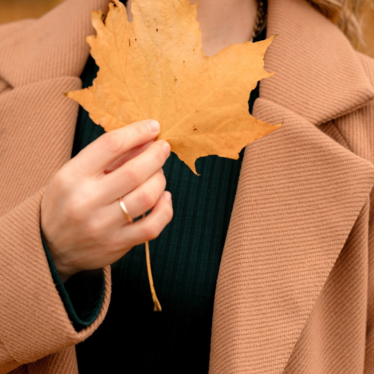 Отзывы. Свадебный и семейный фотограф в Серпухове Александра Дерюшева
