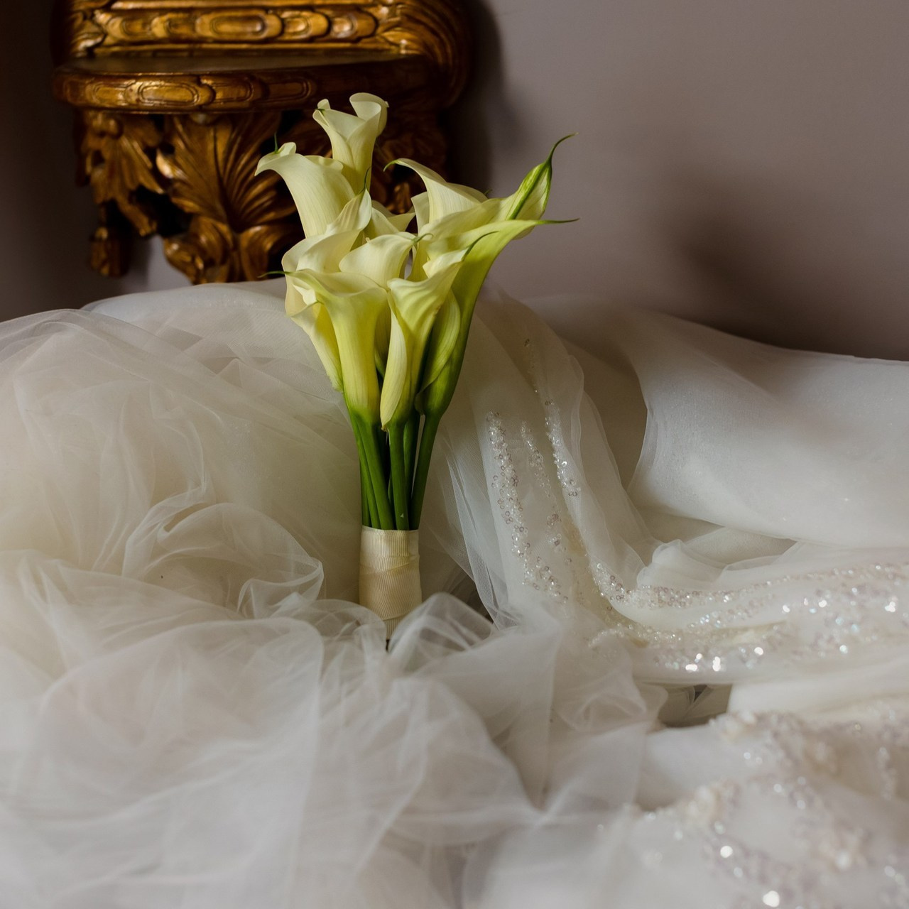 Отзывы. Свадебный и семейный фотограф в Каспийске Алёна Нурмагомедова