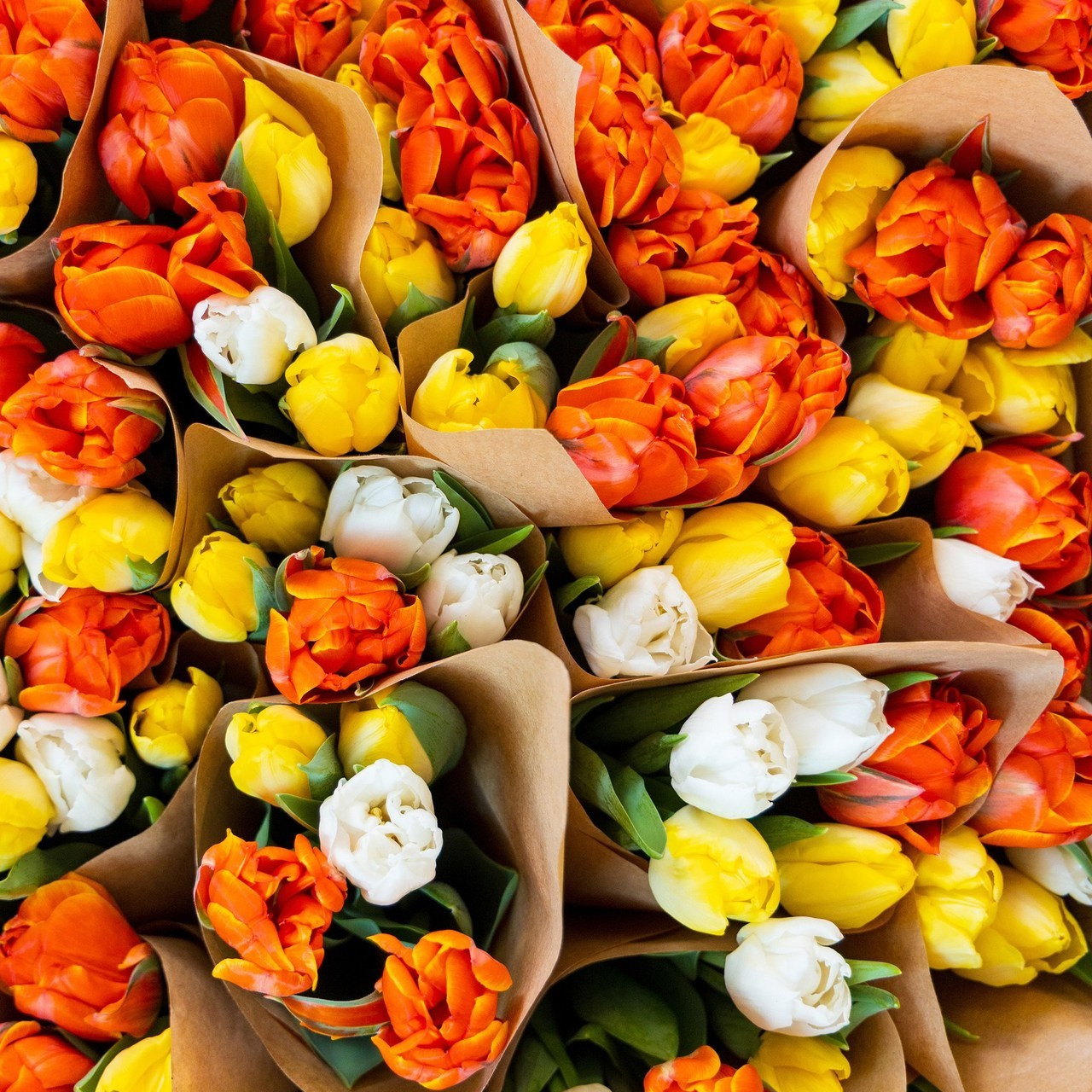 Отзывы. Свадебный и семейный фотограф в Каспийске Алёна Нурмагомедова