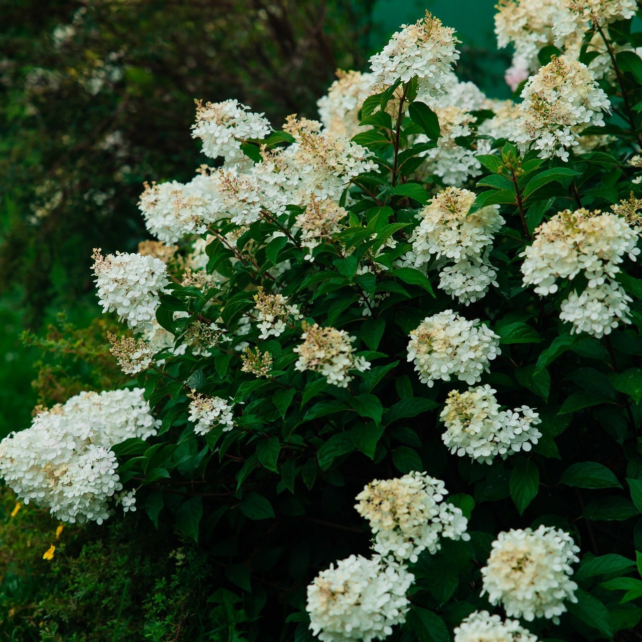 Отзывы. Главная