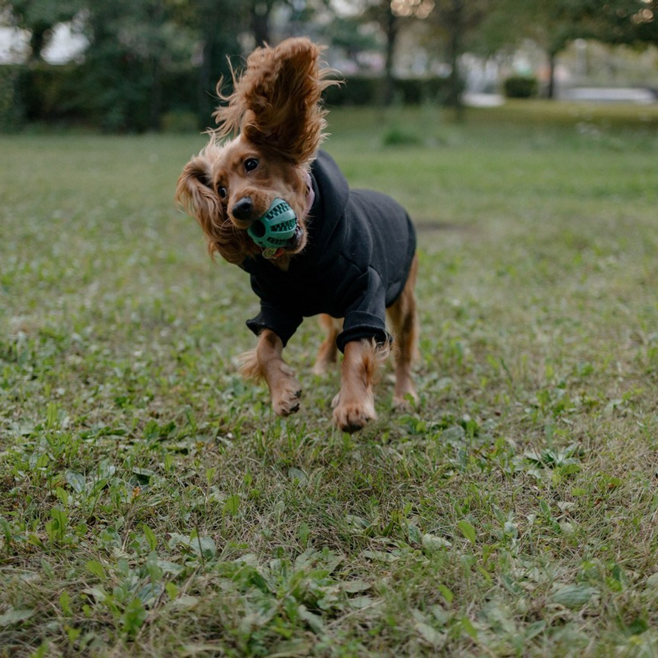 Отзывы. Свадебный и портретный фотограф в Челябинске