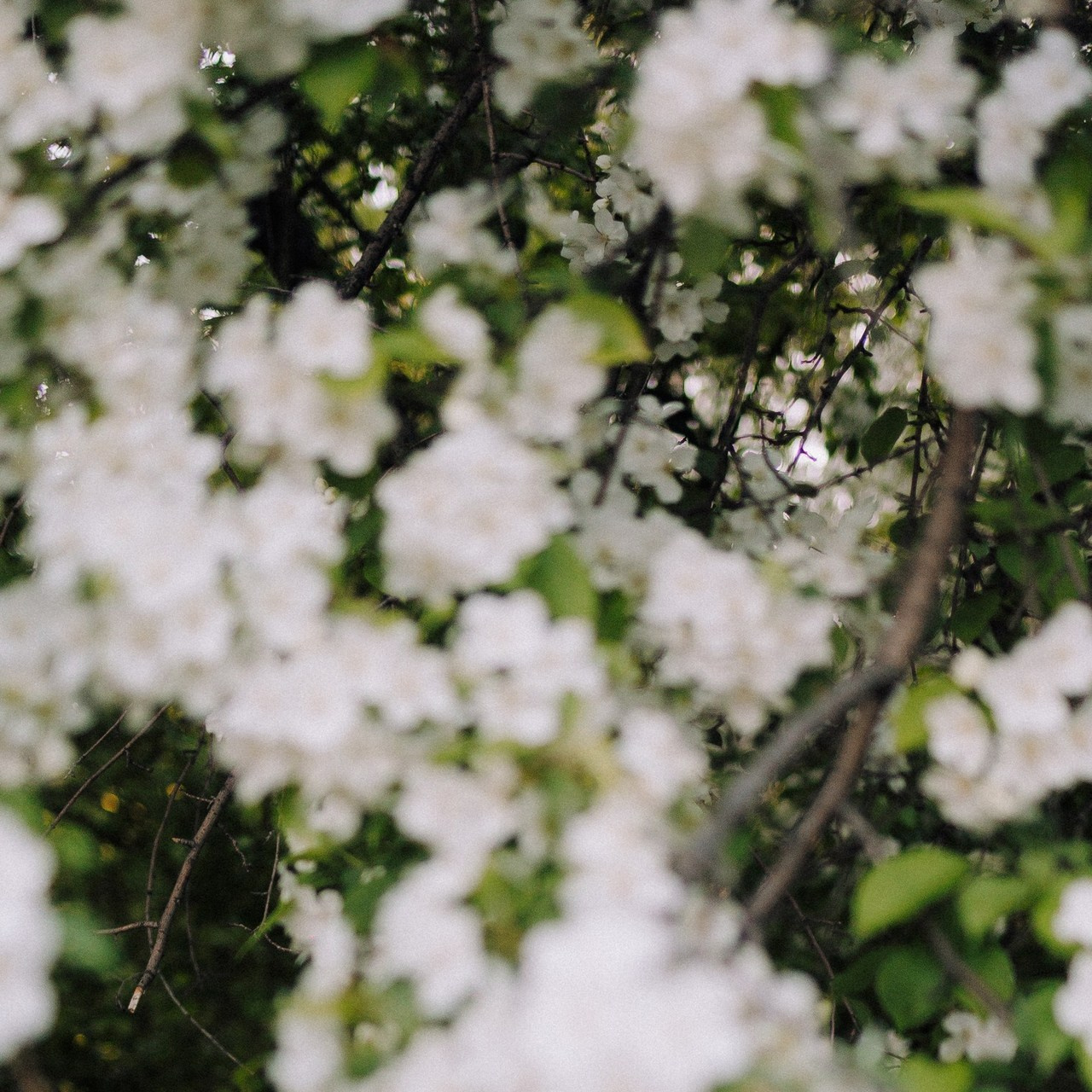 Отзывы. Свадебный и портретный фотограф в Челябинске