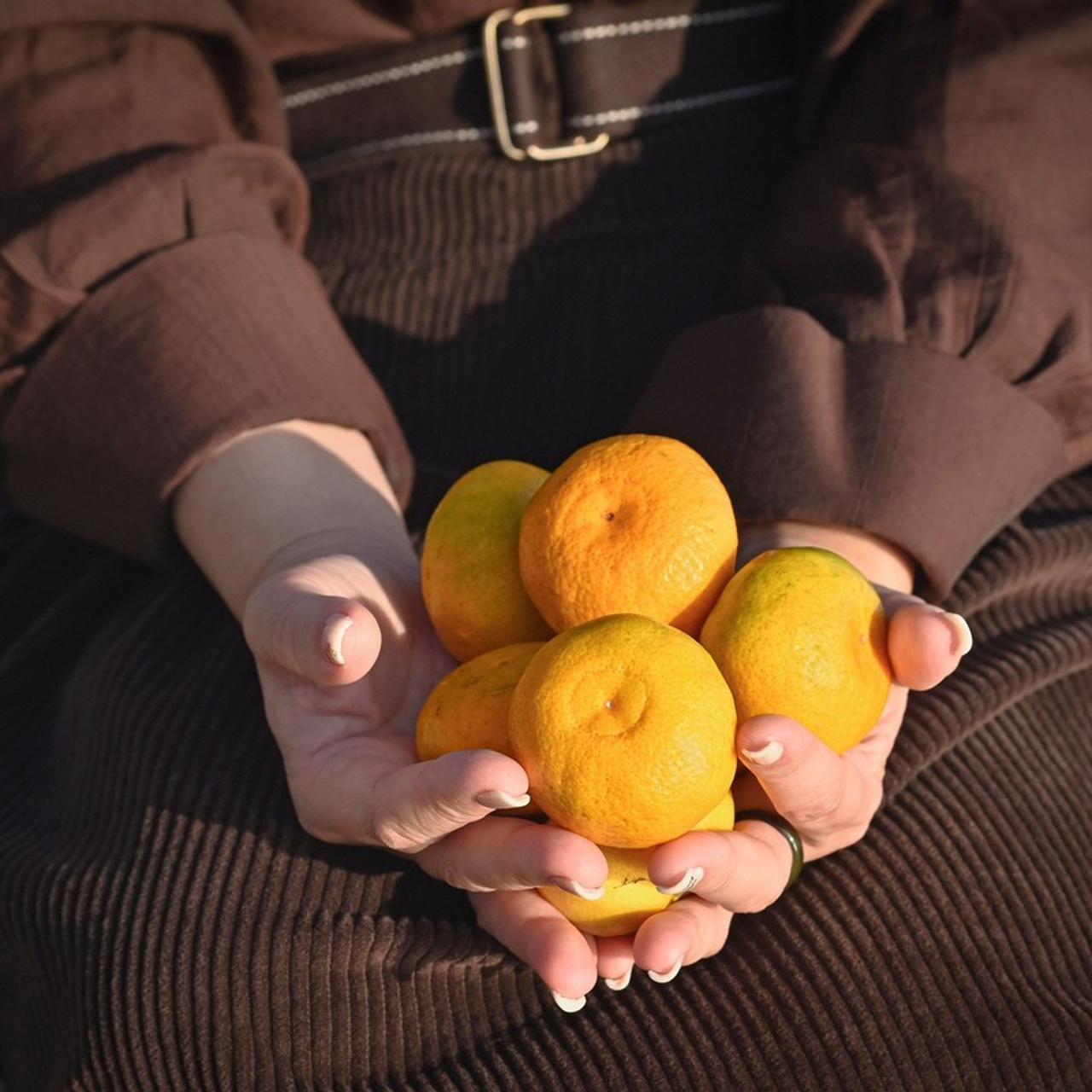 Фотосессия. Фотограф Наташа Белецкая