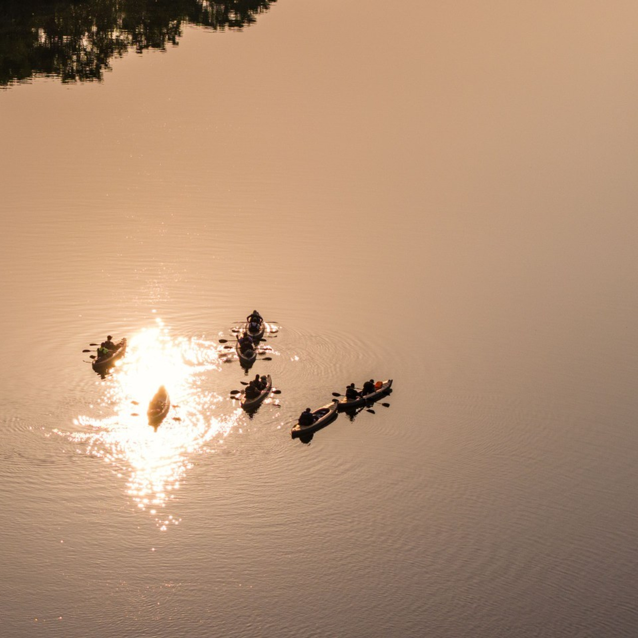 Отзывы. Suvorovaleksey.com фото съемка, видео съемка в Хабаровске и на Дальнем Востоке