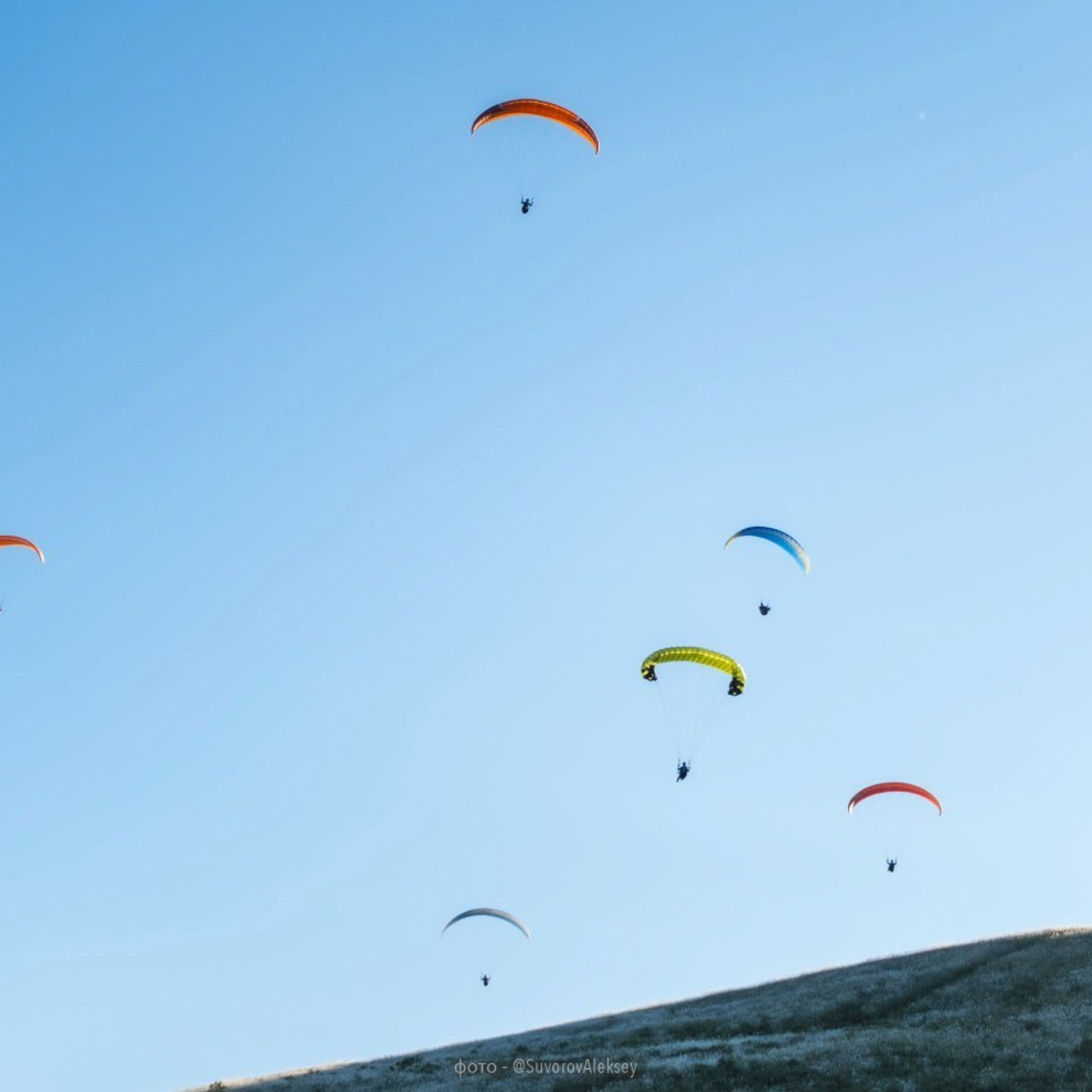 Отзывы. Suvorovaleksey.com фото съемка, видео съемка в Хабаровске и на Дальнем Востоке