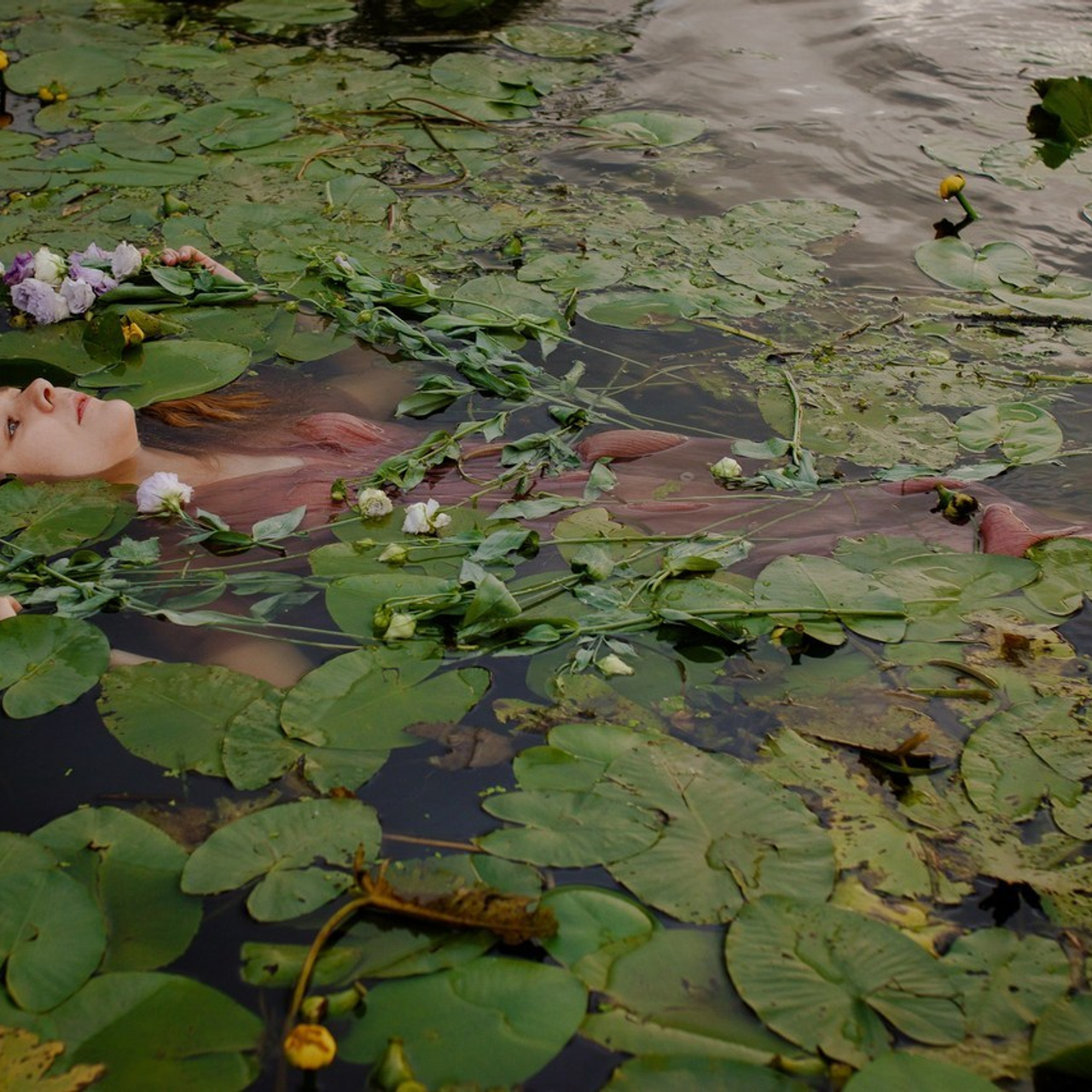 Отзывы. Фотограф Сергей Епифанов