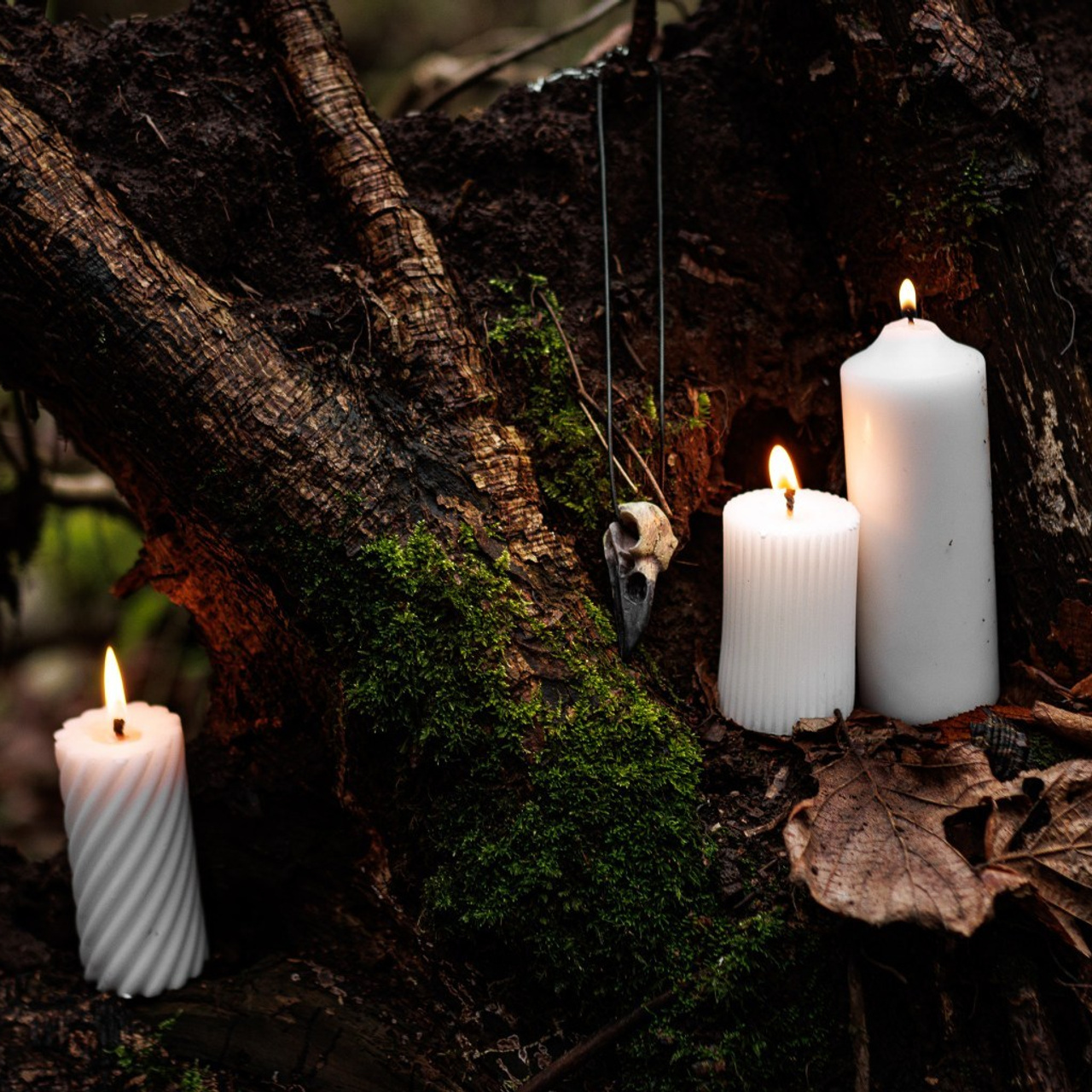 Отзывы. Фотограф Сергей Епифанов