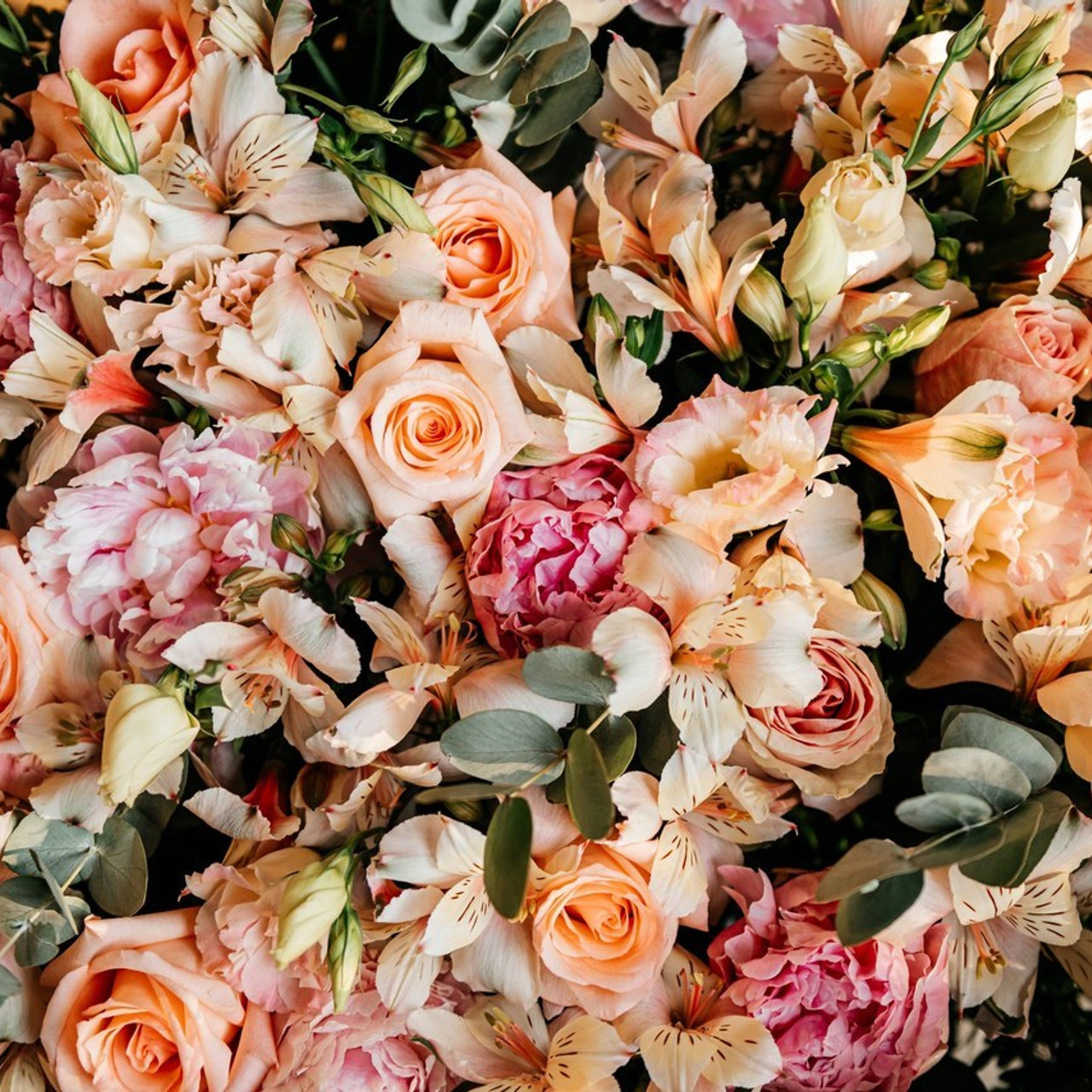 Отзывы. Фотограф Диана Ставрополь