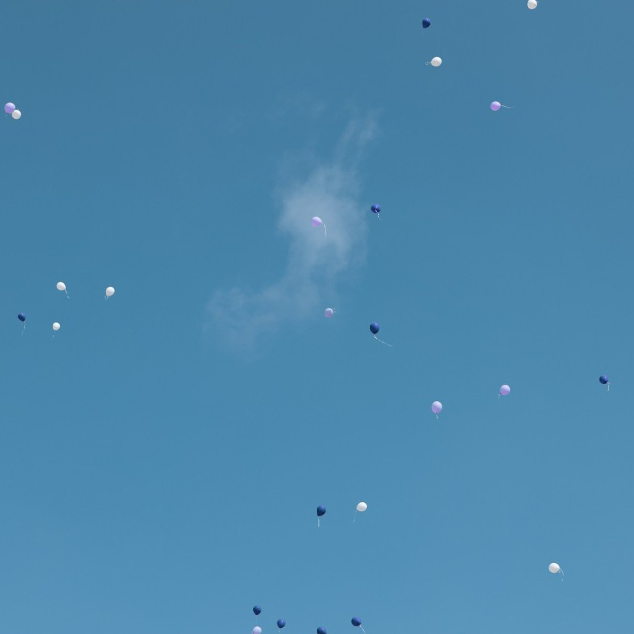 FEEDBACK. MAKSIM KALASHNIKOV