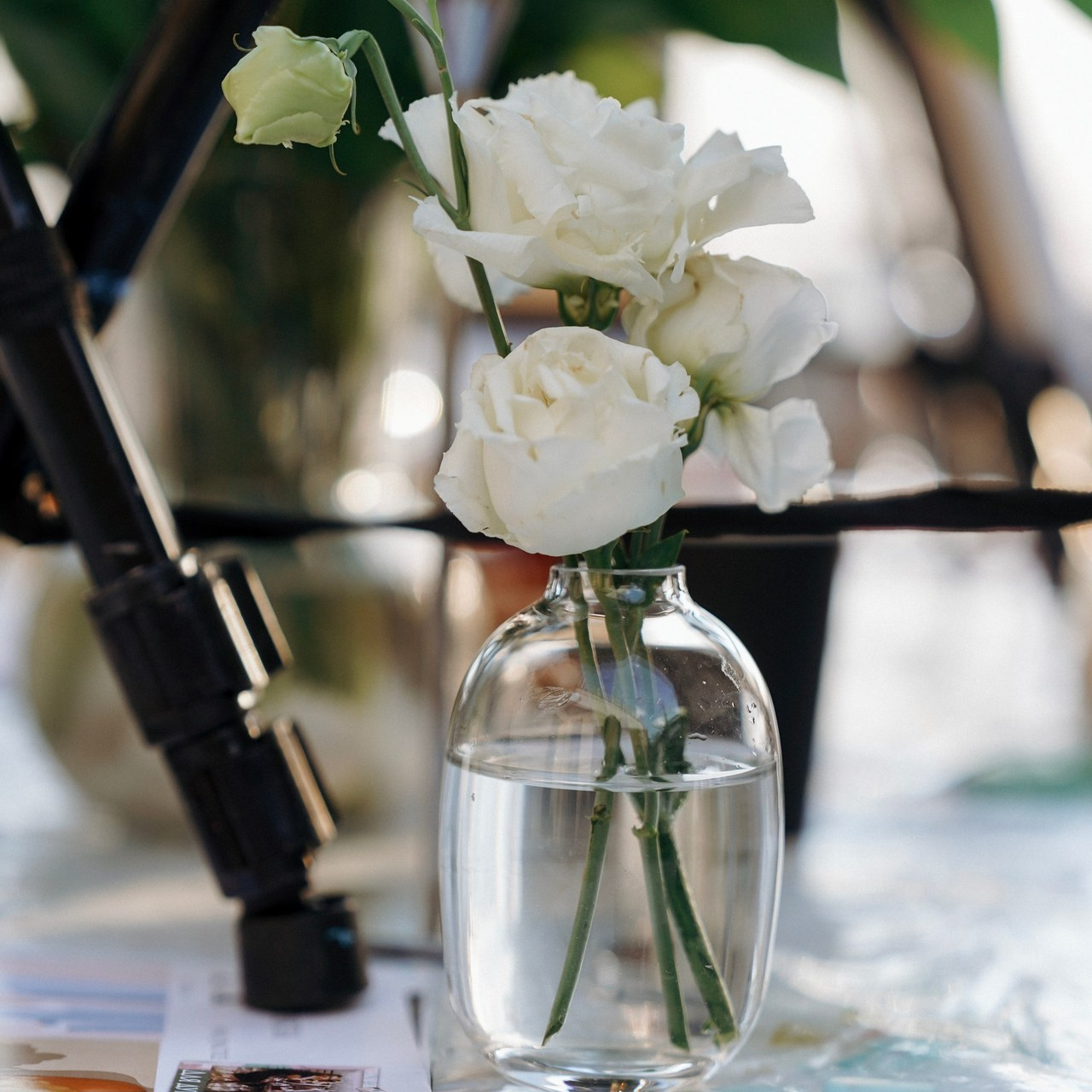 Отзывы. Фотограф с психологическим образованием