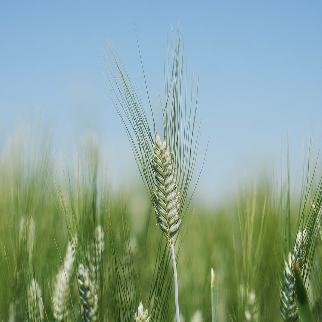 Отзывы. Фотограф с психологическим образованием