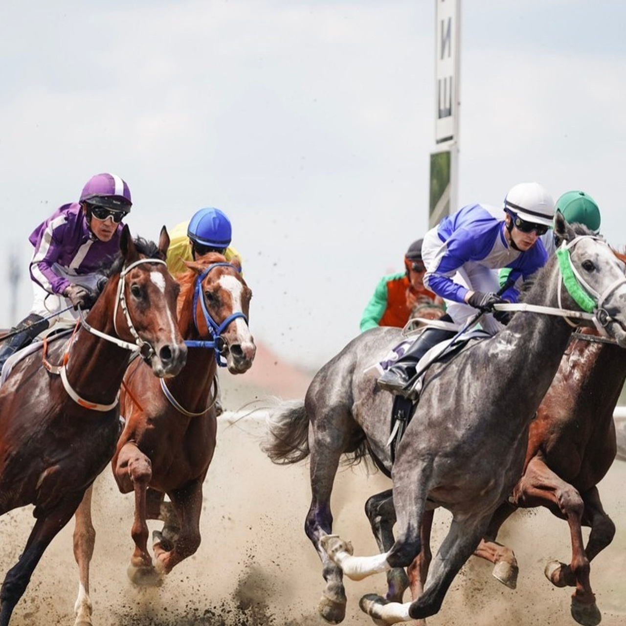 Отзывы. Фотограф с психологическим образованием