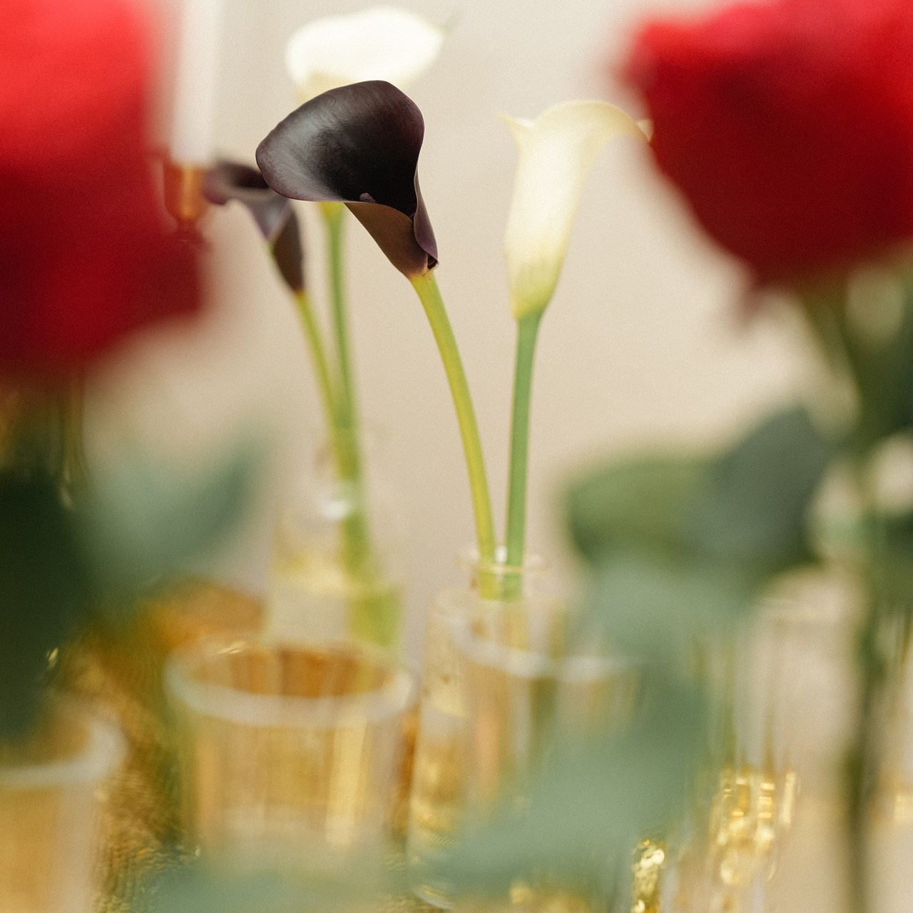 Отзывы. Фотограф с психологическим образованием