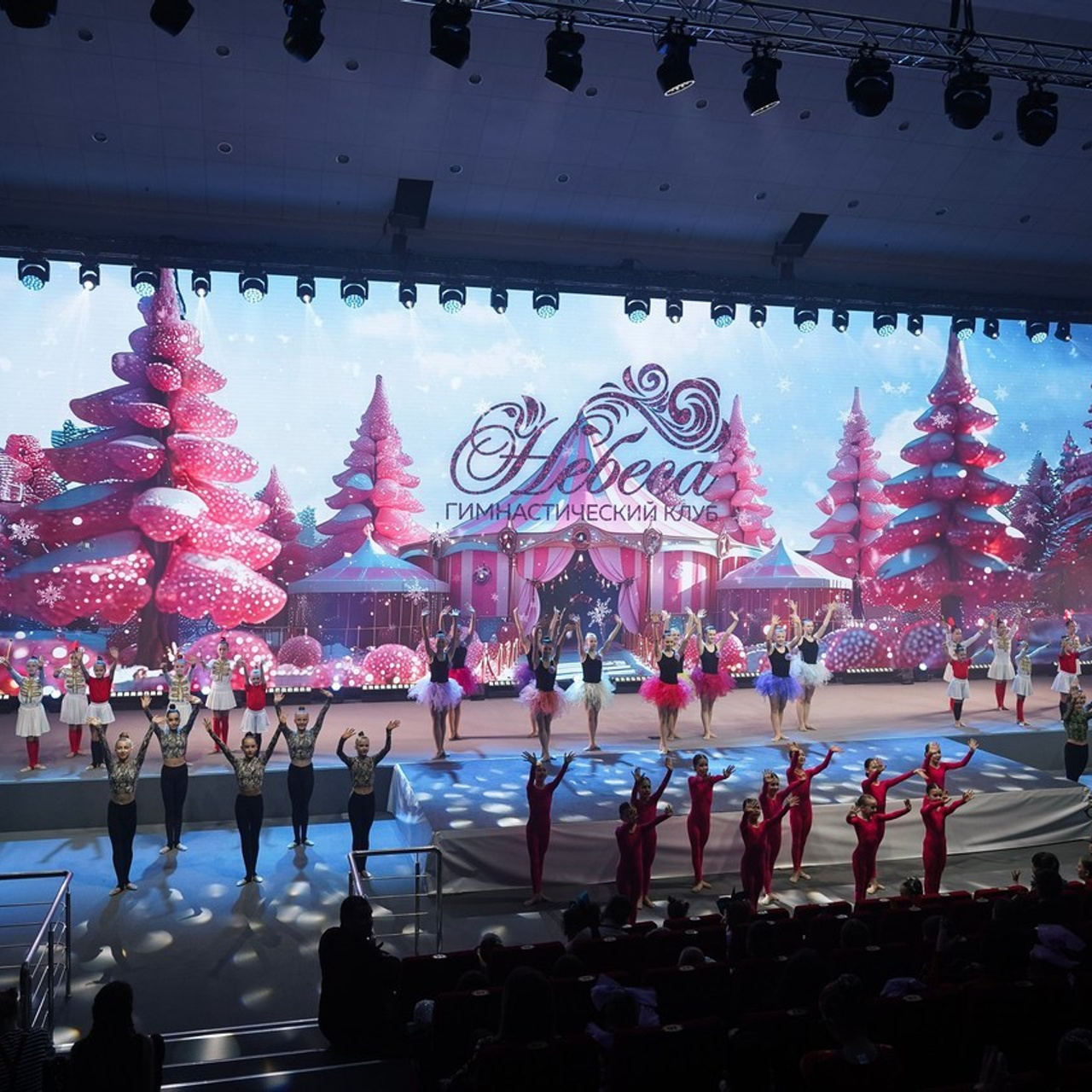 Отзывы. Фотограф с психологическим образованием