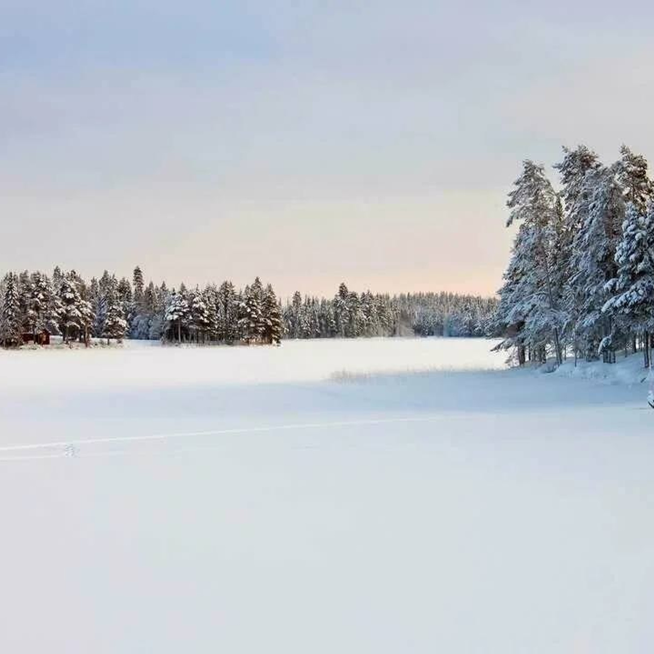 Новости и события Шалово-парк Серебрянные ключи. Оздоровительный комплекс Шалово-парк Серебряные ключи