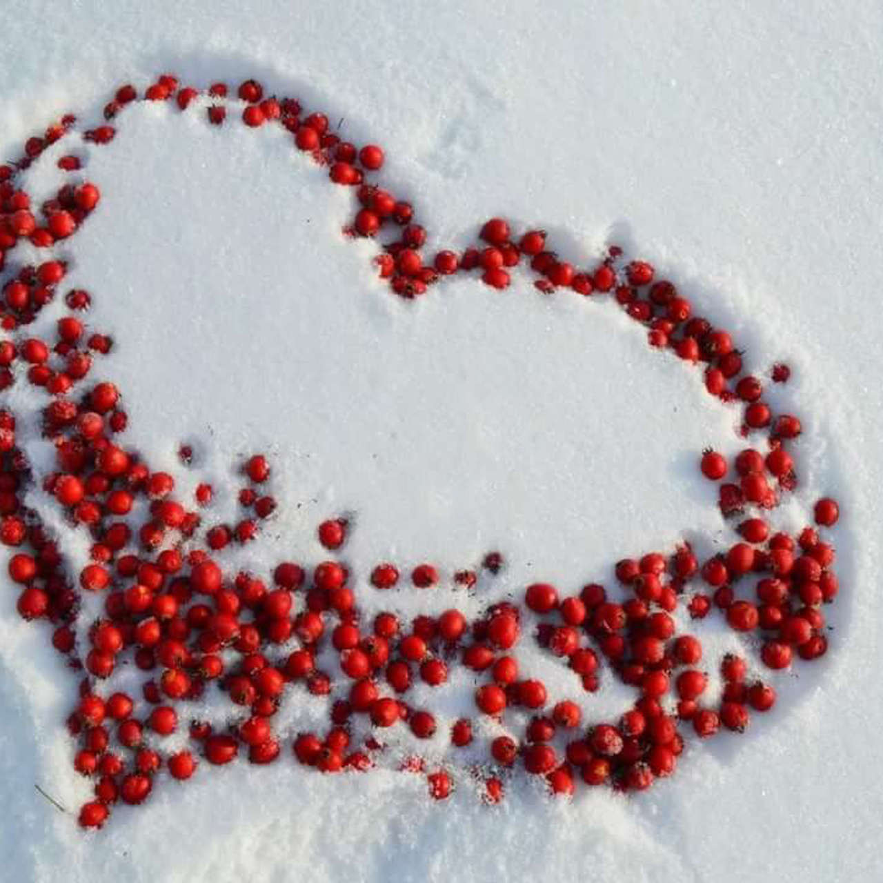 Новости и события Шалово-парк Серебрянные ключи. Оздоровительный комплекс Шалово-парк Серебряные ключи