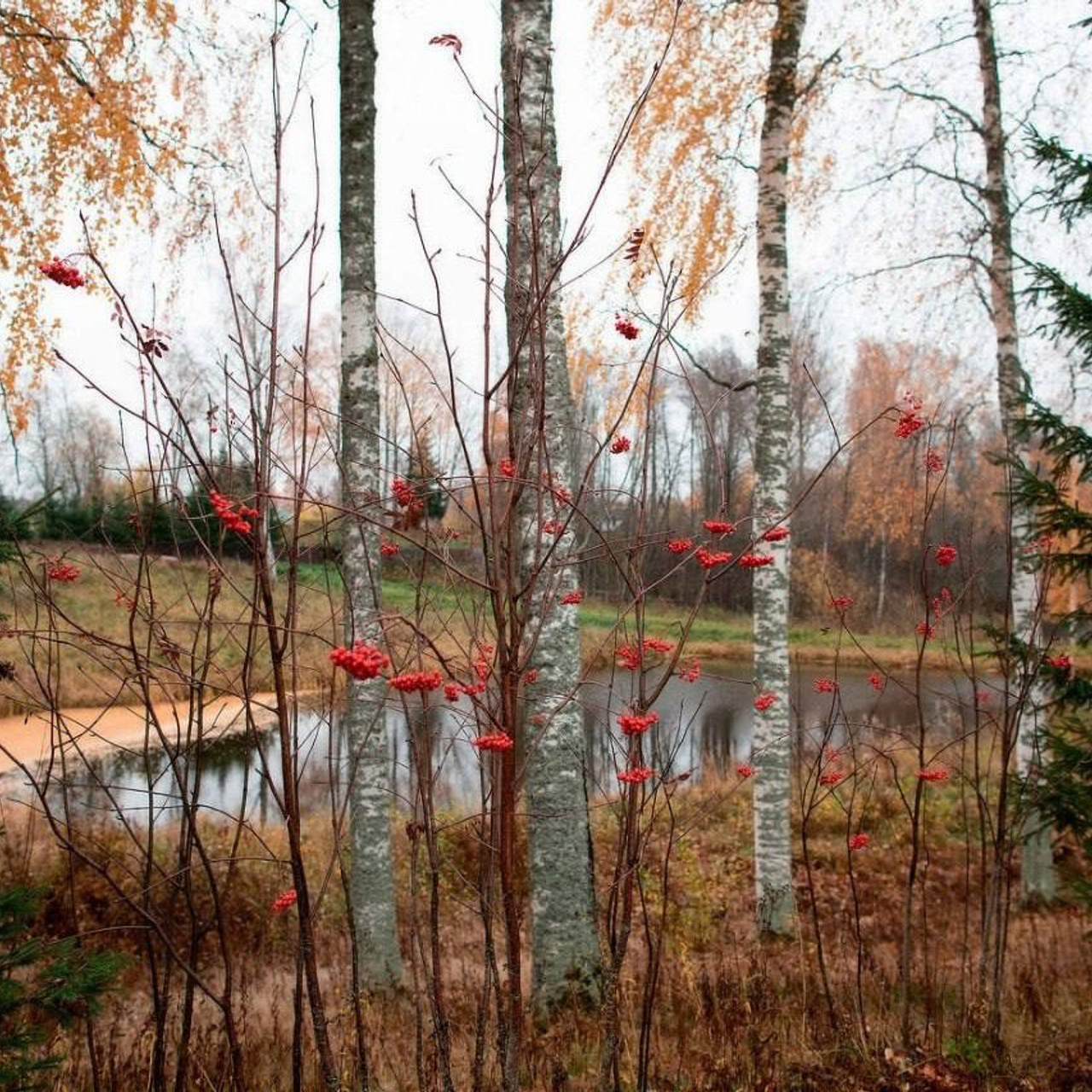 Новости и события Шалово-парк Серебрянные ключи. Оздоровительный комплекс Шалово-парк Серебряные ключи