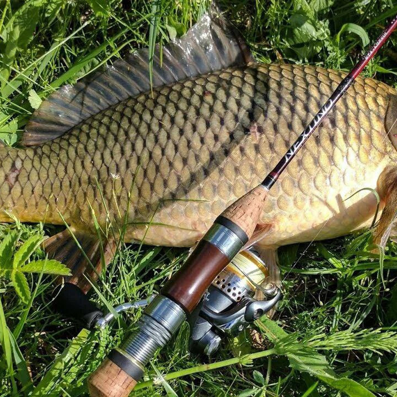 Новости и события Шалово-парк Серебрянные ключи. Оздоровительный комплекс Шалово-парк Серебряные ключи