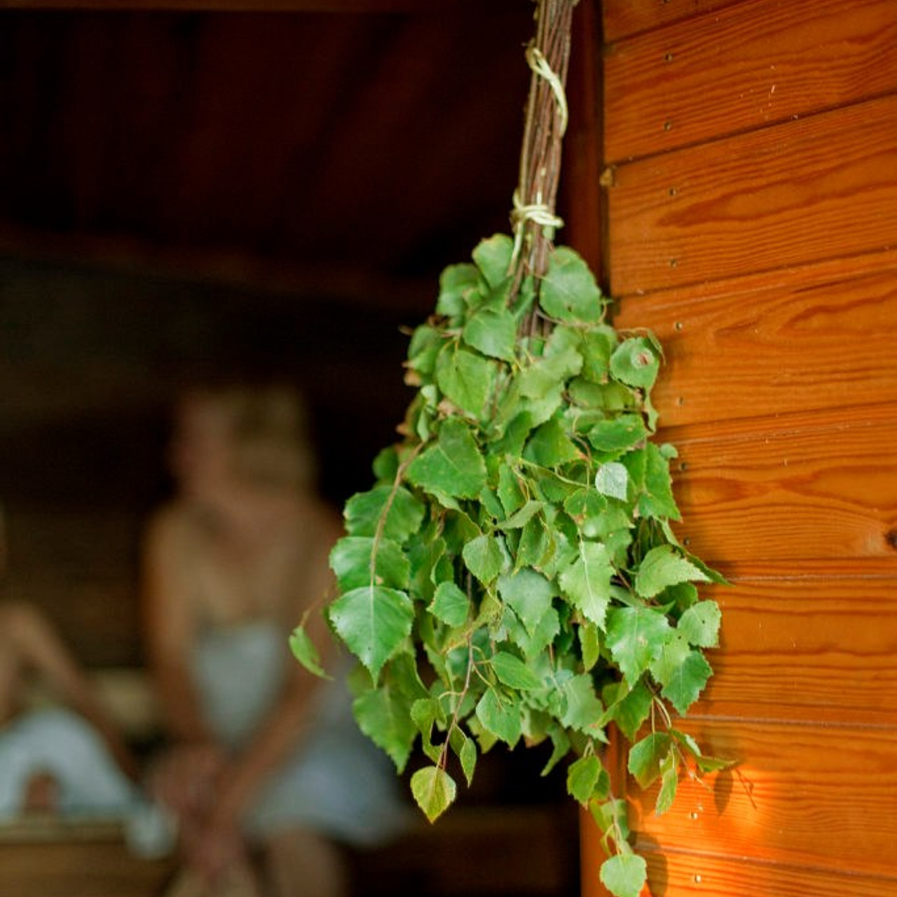 Новости и события Шалово-парк Серебрянные ключи. Оздоровительный комплекс Шалово-парк Серебряные ключи