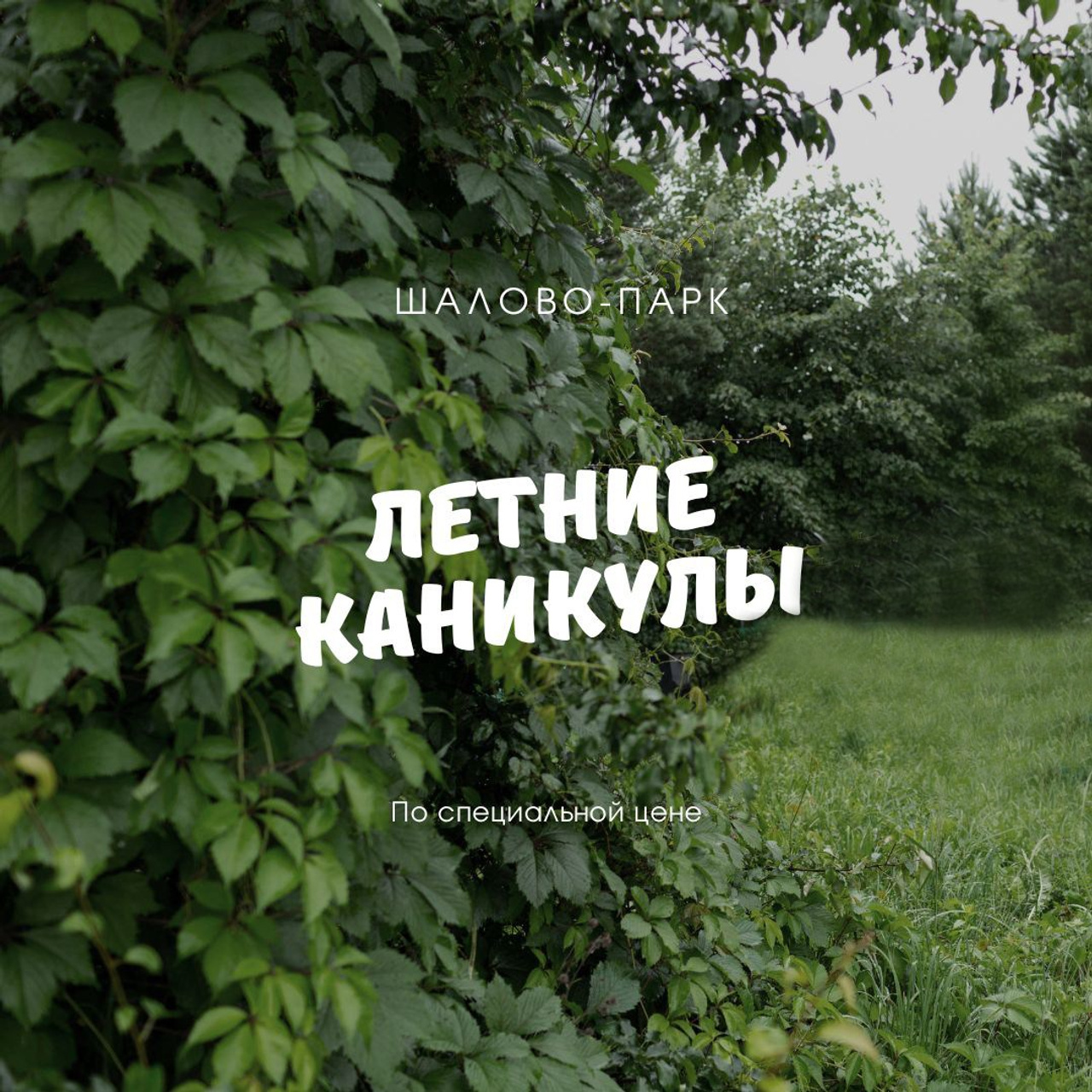 Новости и события Шалово-парк Серебрянные ключи. Оздоровительный комплекс Шалово-парк Серебряные ключи