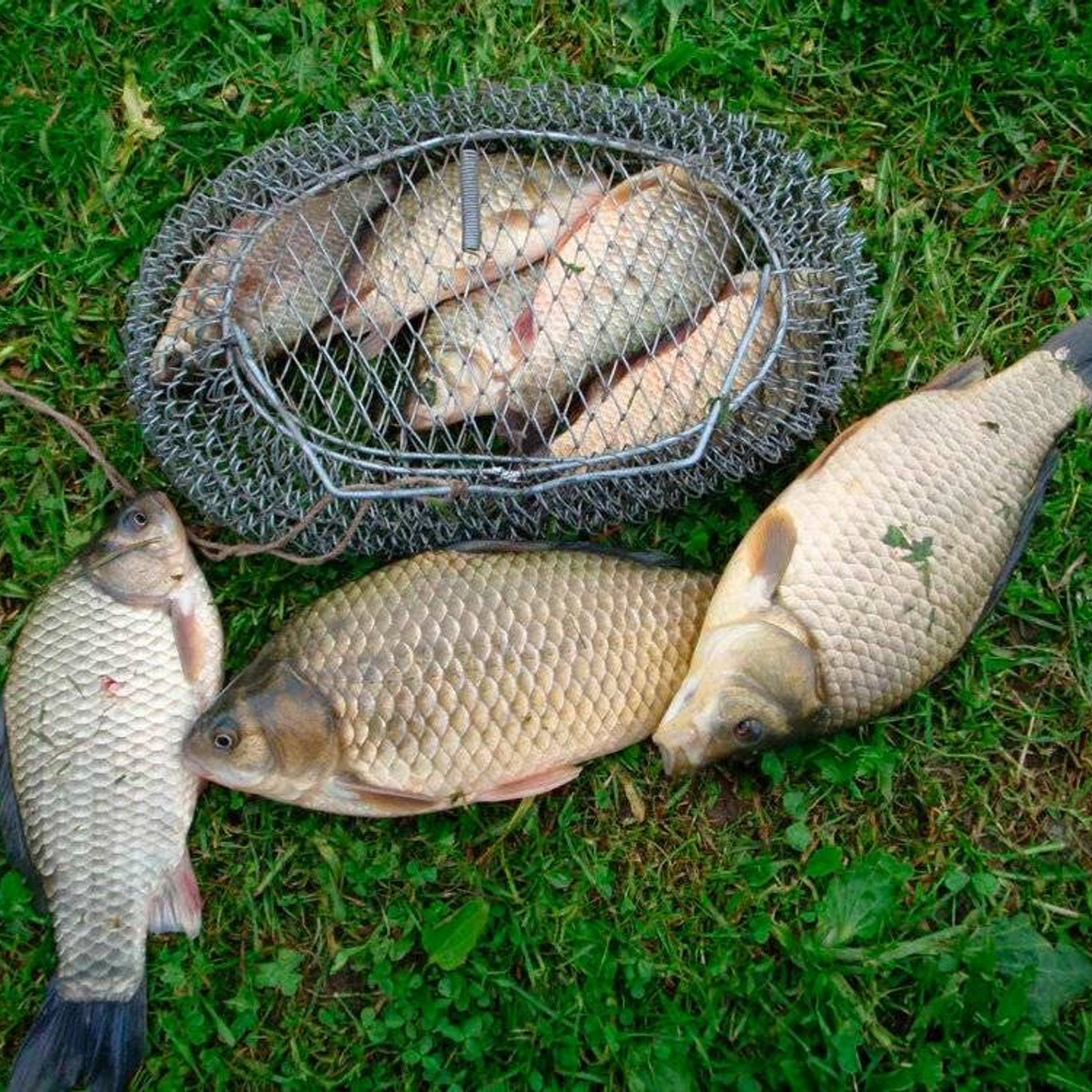 Новости и события Шалово-парк Серебрянные ключи. Оздоровительный комплекс Шалово-парк Серебряные ключи