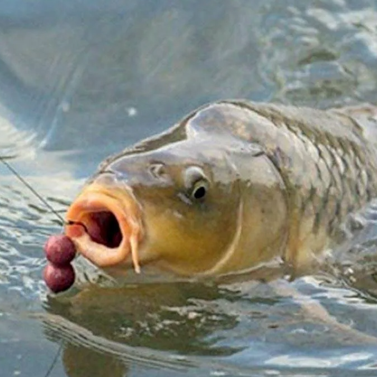 Новости и события Шалово-парк Серебрянные ключи. Оздоровительный комплекс Шалово-парк Серебряные ключи