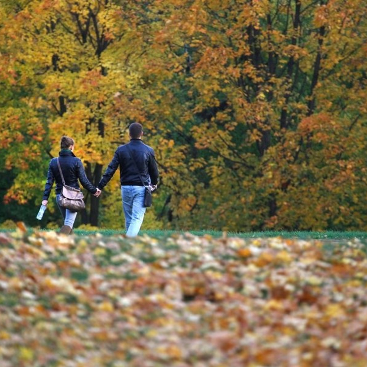 Новости и события Шалово-парк Серебрянные ключи. Оздоровительный комплекс Шалово-парк Серебряные ключи