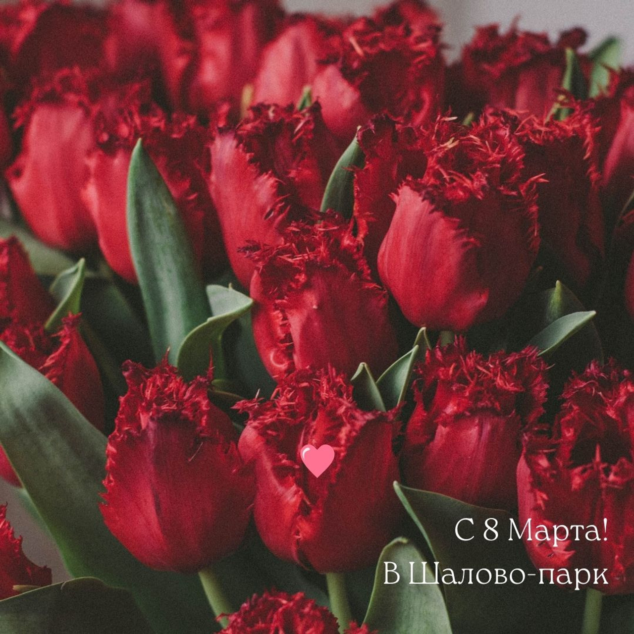 Новости и события Шалово-парк Серебрянные ключи. Оздоровительный комплекс Шалово-парк Серебряные ключи