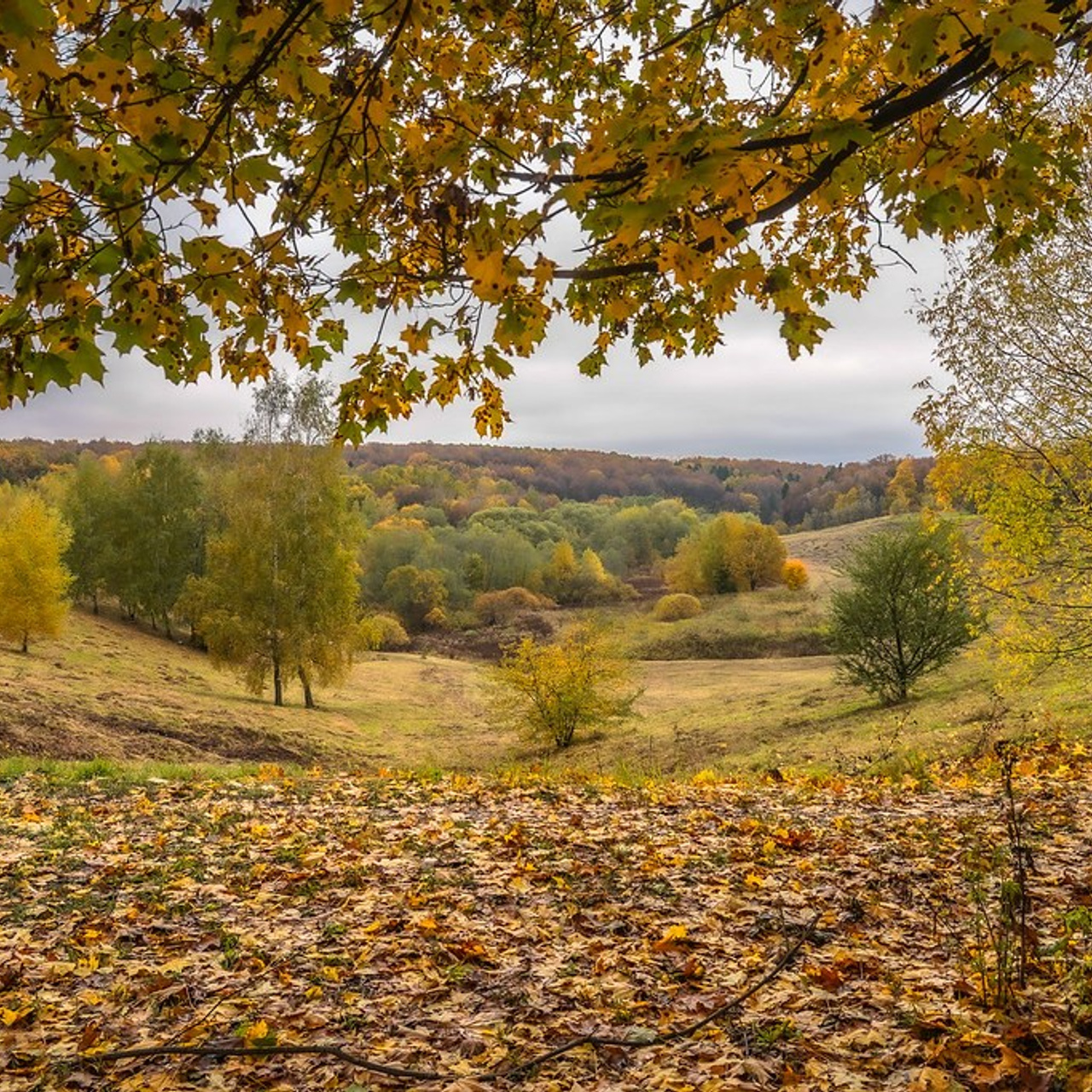 Новости и события Шалово-парк Серебрянные ключи. Оздоровительный комплекс Шалово-парк Серебряные ключи