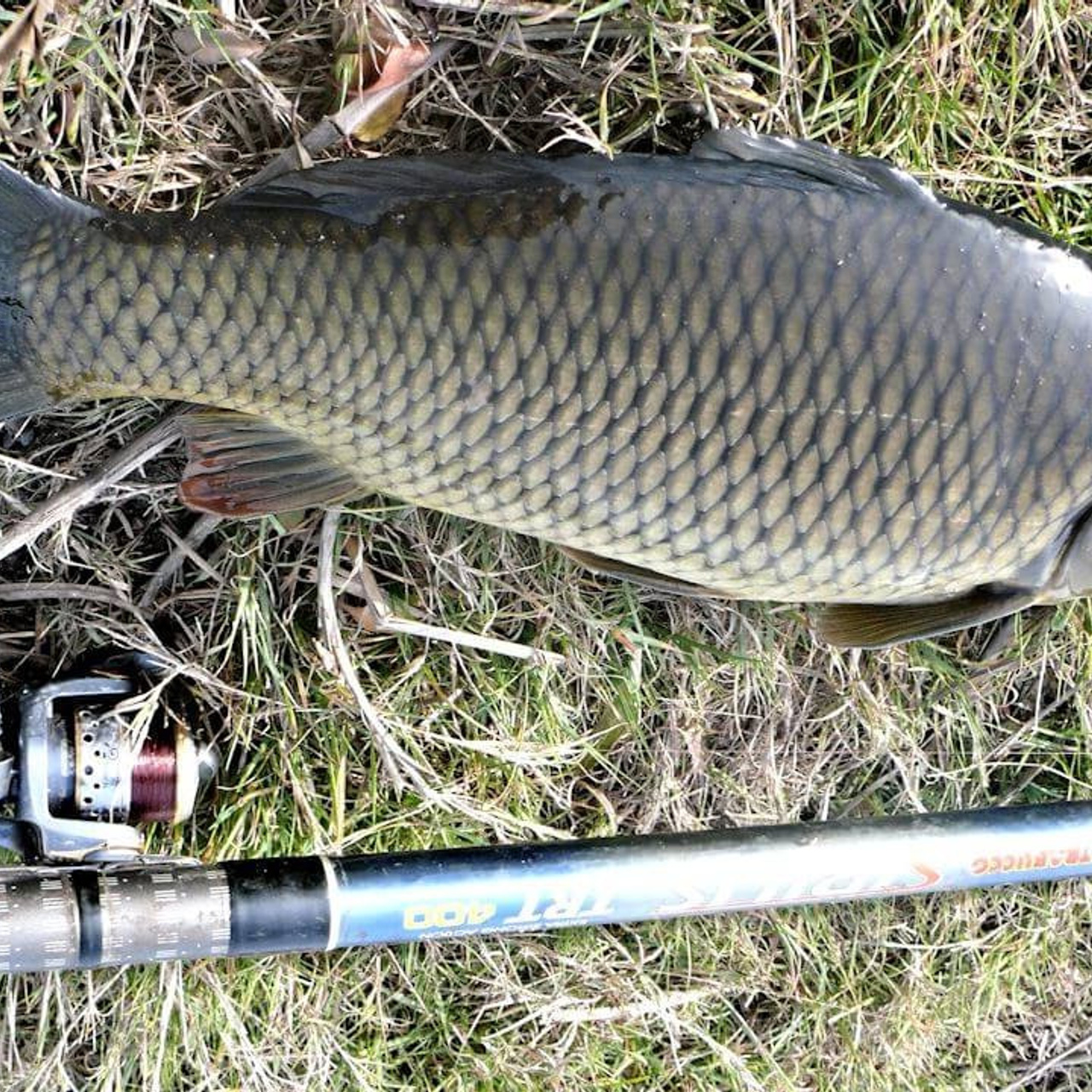 Новости и события Шалово-парк Серебрянные ключи. Оздоровительный комплекс Шалово-парк Серебряные ключи